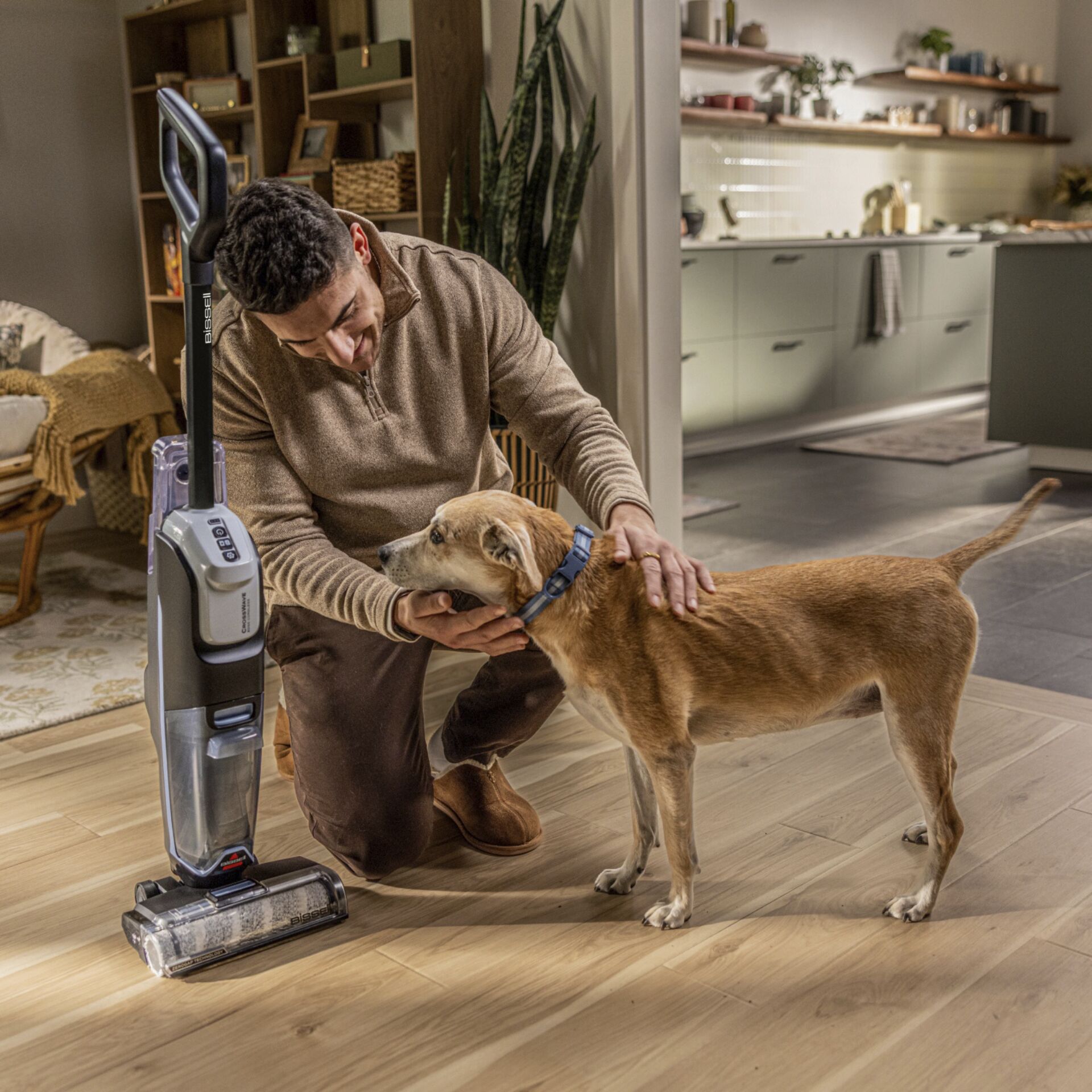 Tier, Hund, Säugetier, Haustier