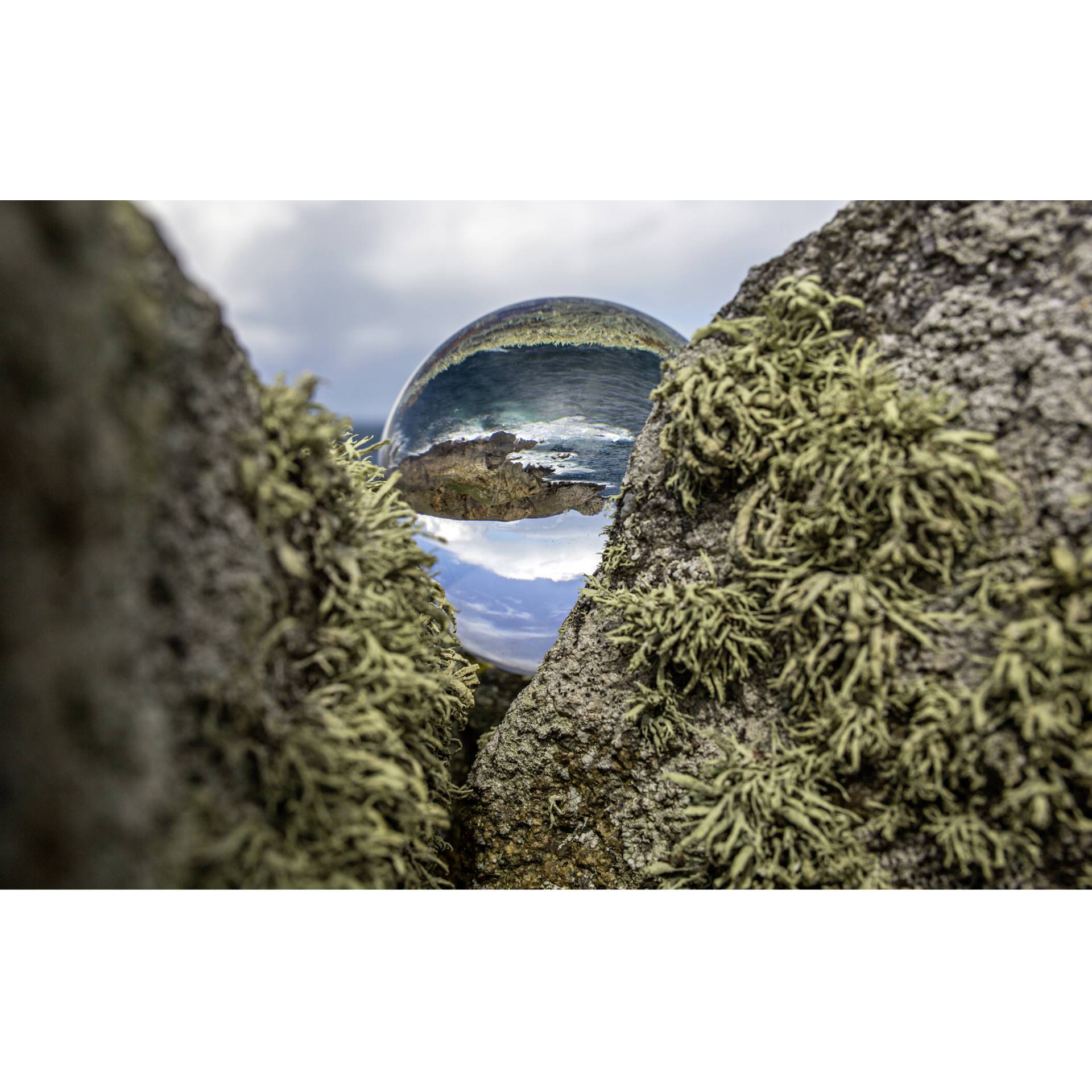 Sphäre, Fotografie, Moos, Pflanze, Rock