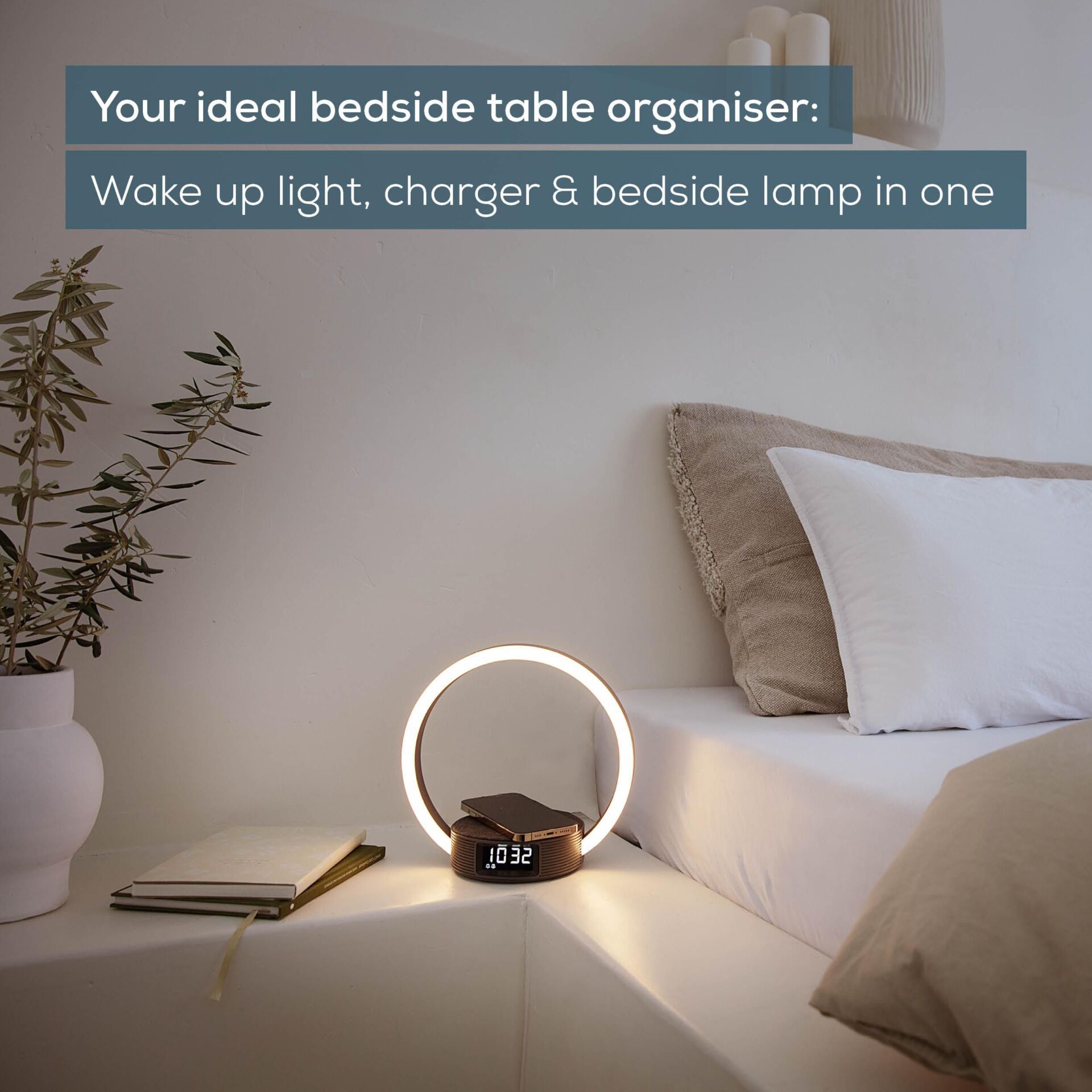 Kissen, Dekoration für Zuhause, Pflanze, Innenarchitektur