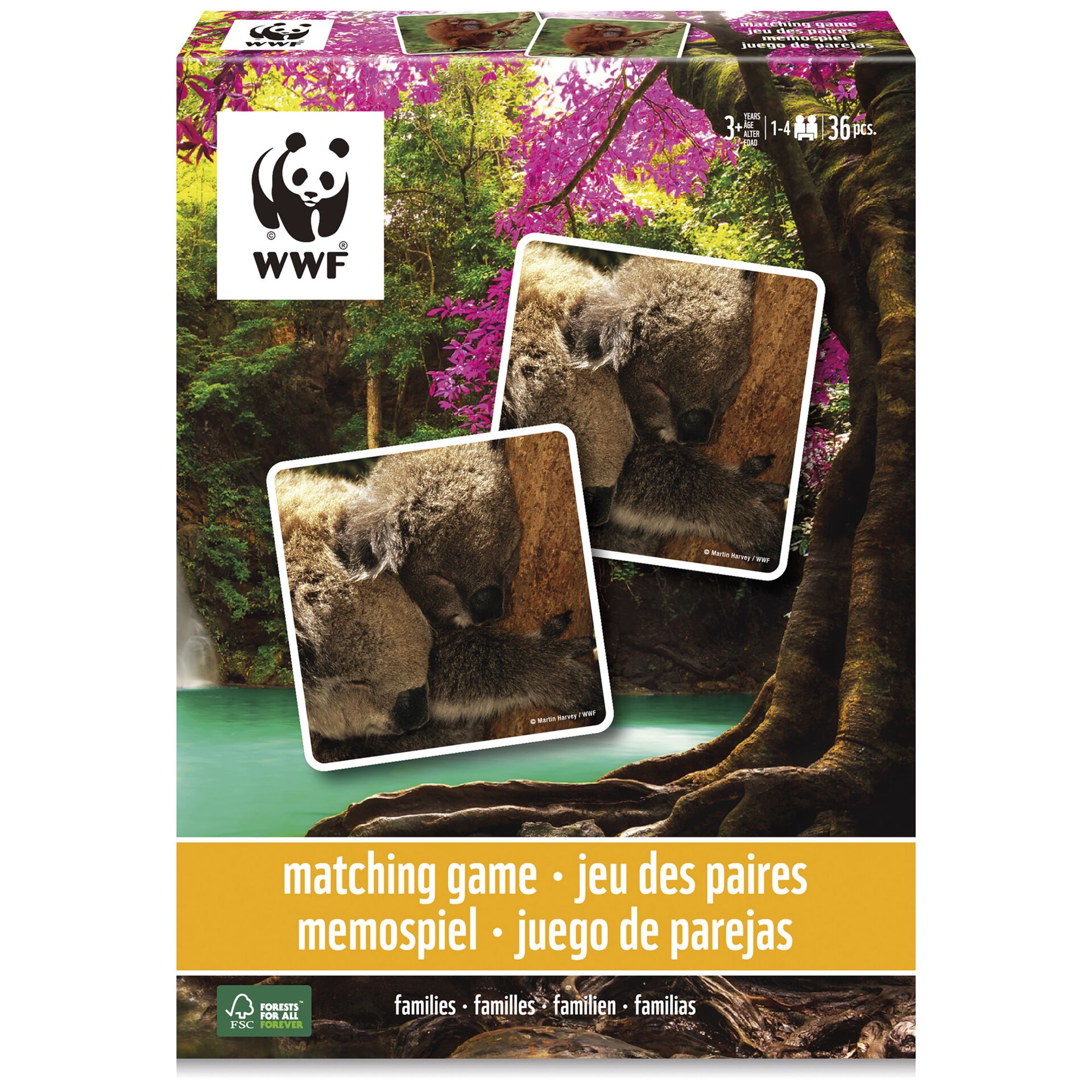 Tier, Bär, Säugetier, Tierwelt