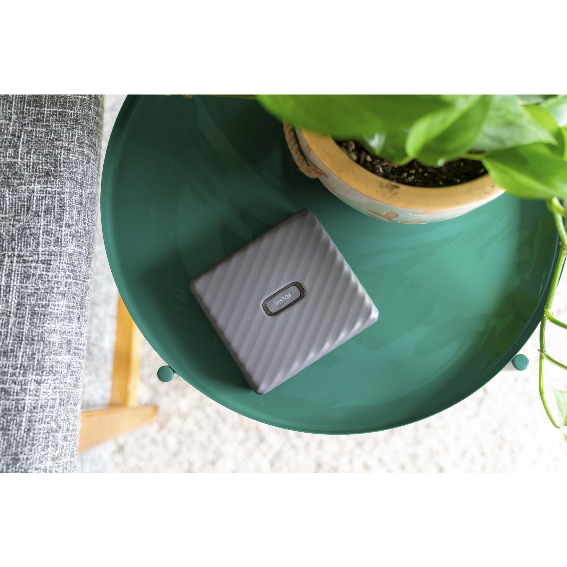 Topfpflanze, Töpferei, Innenarchitektur, Krug, Pflanzgefäß