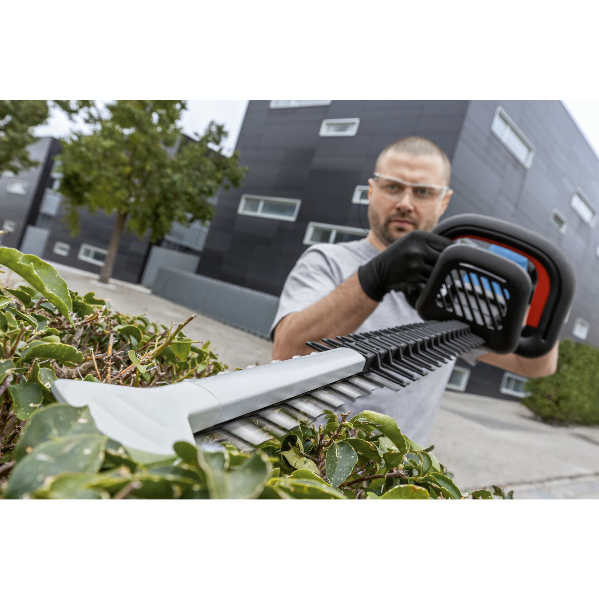 Handschuh, Erwachsener, Männlich, Mann, Person