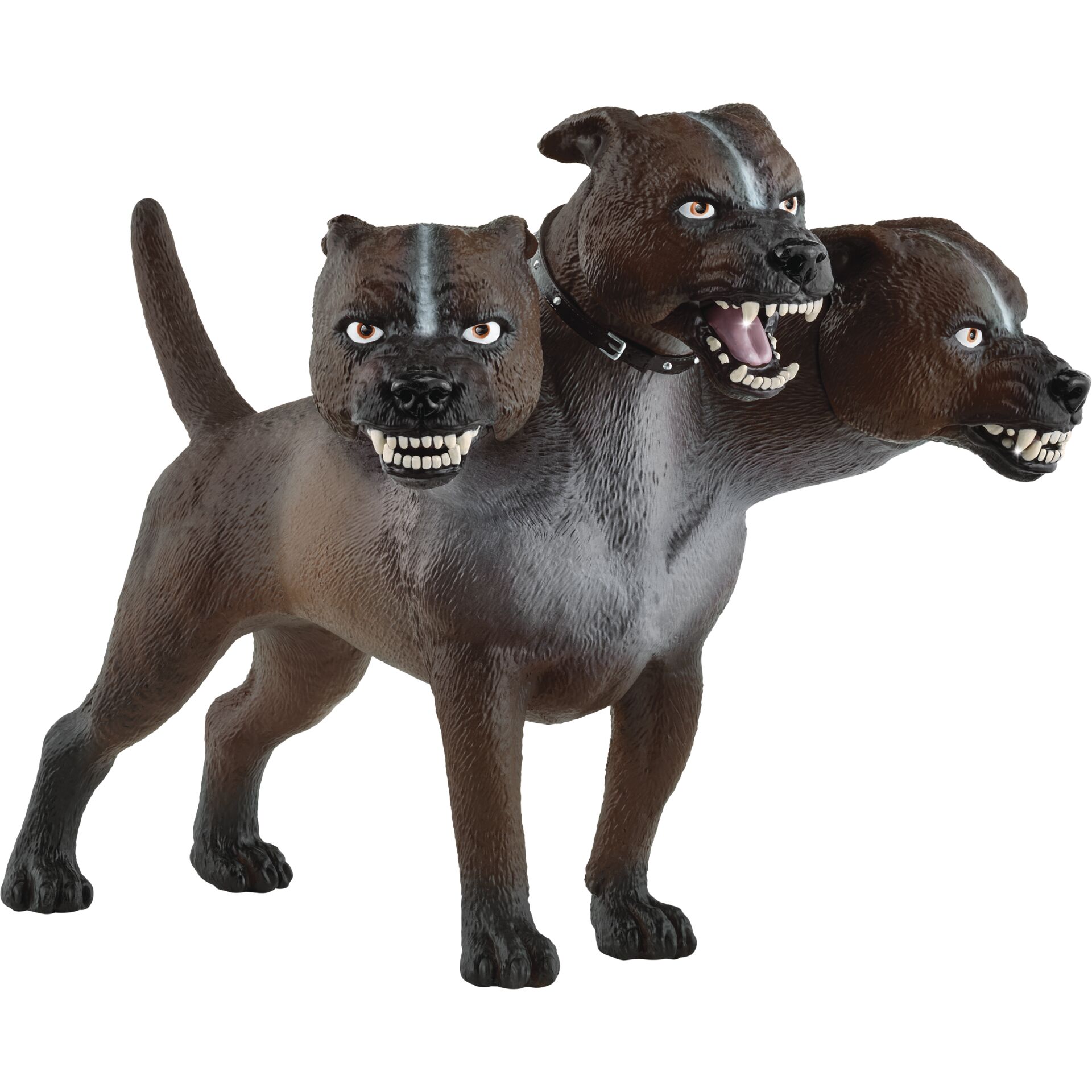 Hund, Säugetier, Haustier, Schnauze