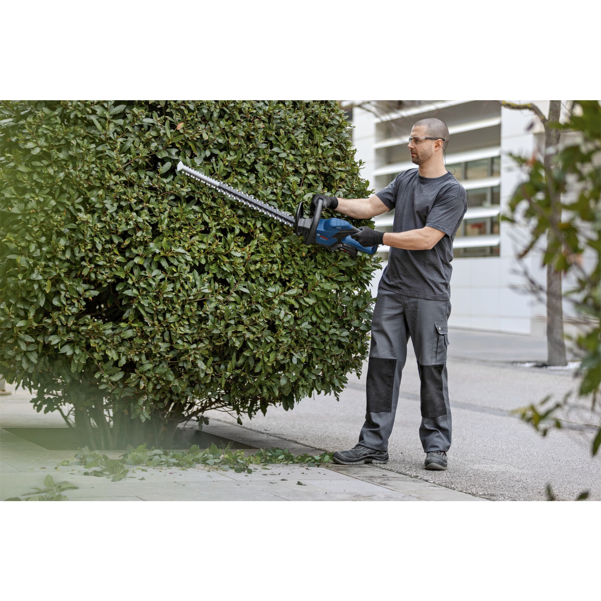 Hecke, Pflanze, Drinnen, Innenarchitektur, Handschuh