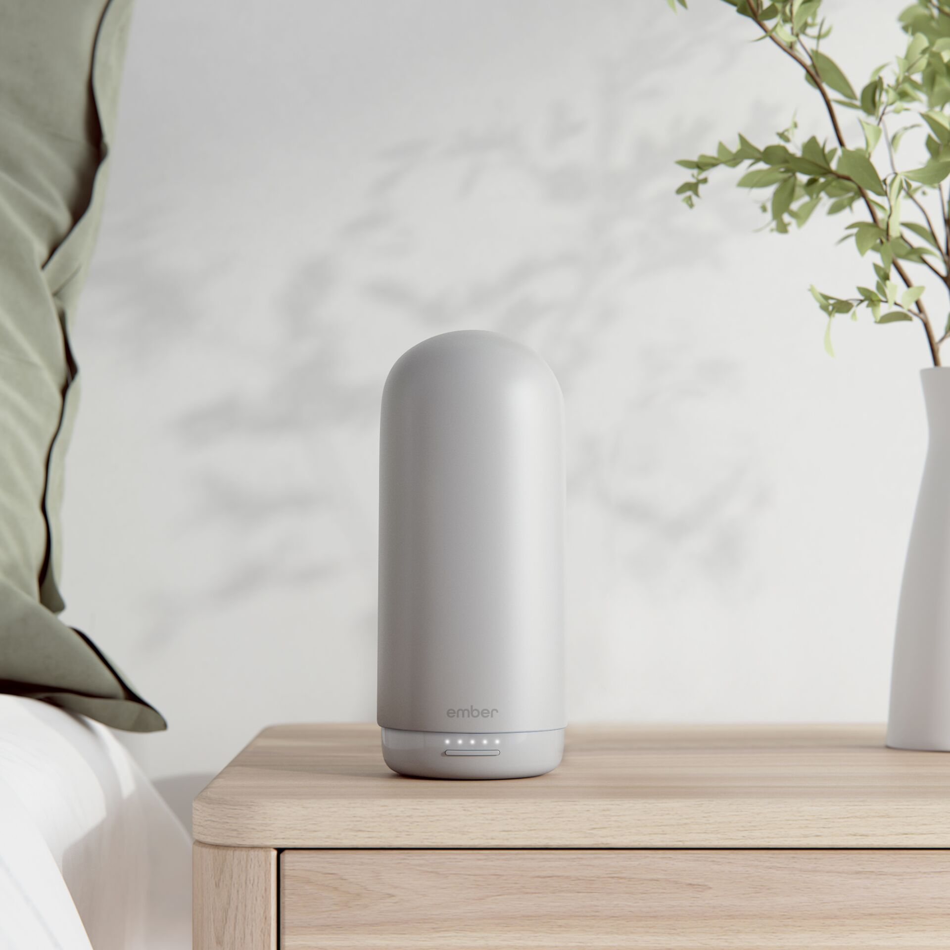 Krug, Pflanze, Pflanze im Topf, Töpferei, Vase