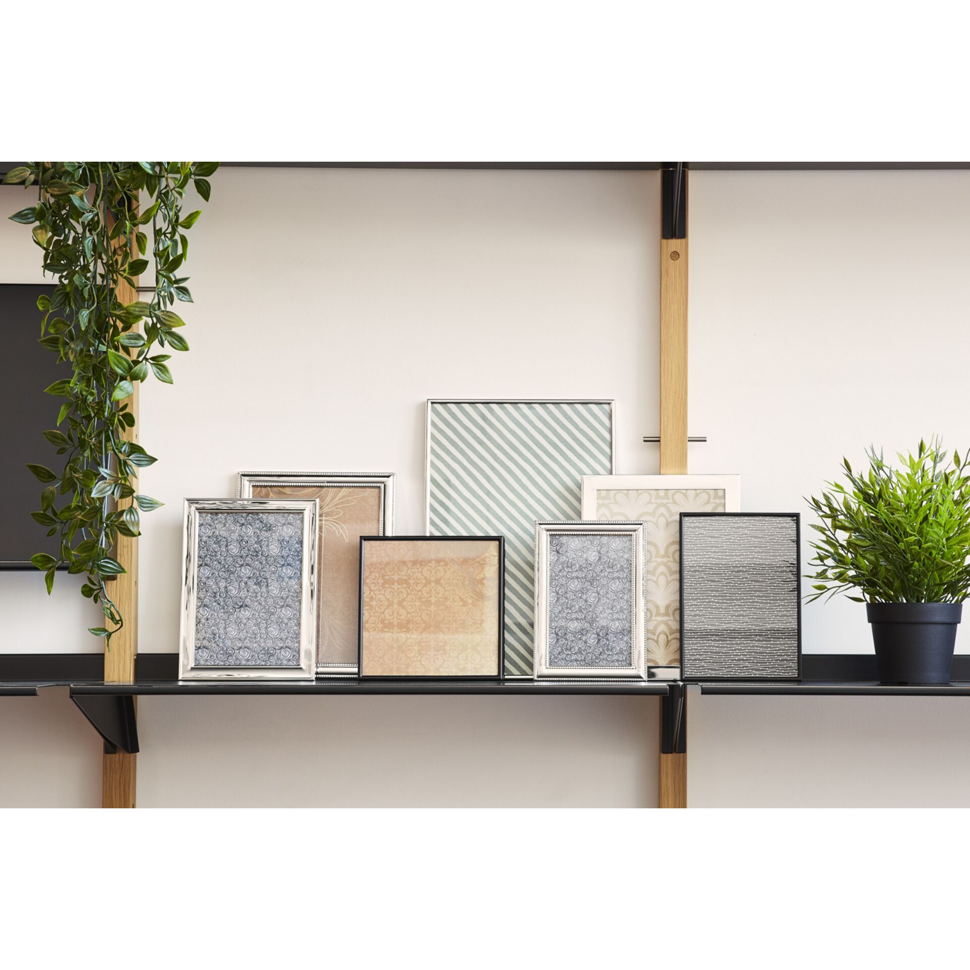 Pflanze, Pflanze im Topf, Innenarchitektur, Pflanzgefäß, Regal