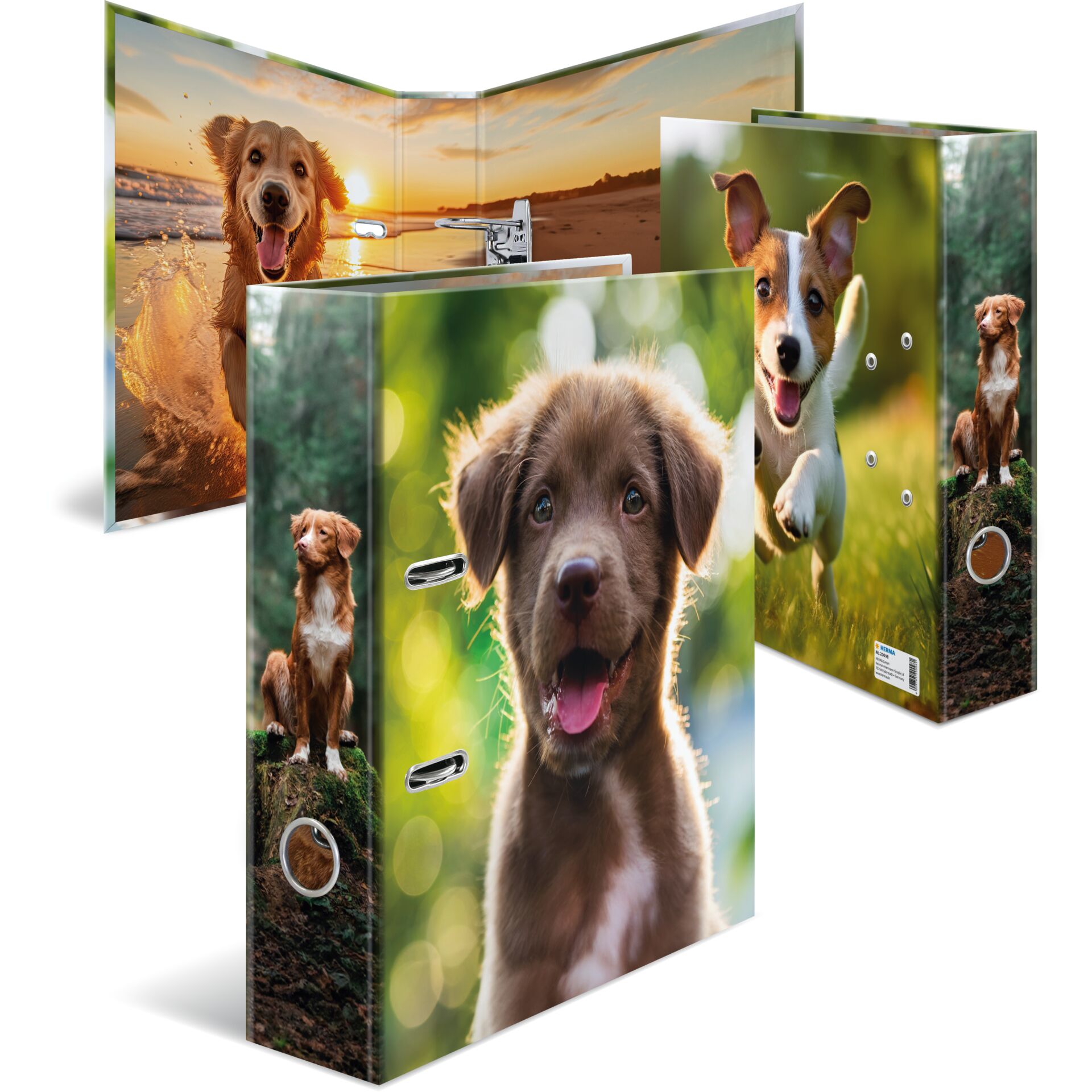 Hundebild, Locke Sacko, Binder, Hunde Motiv, Tierbild