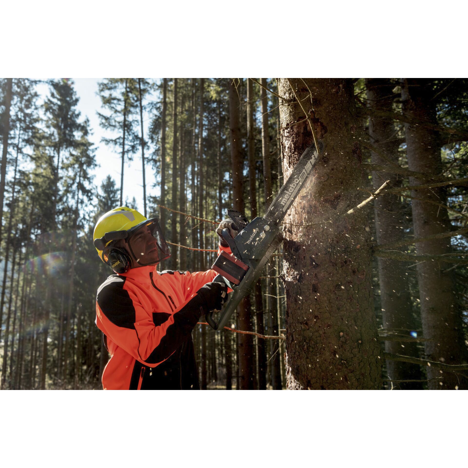 Arbeiter, Baum, Schutzhelm, Helm, Vegetation