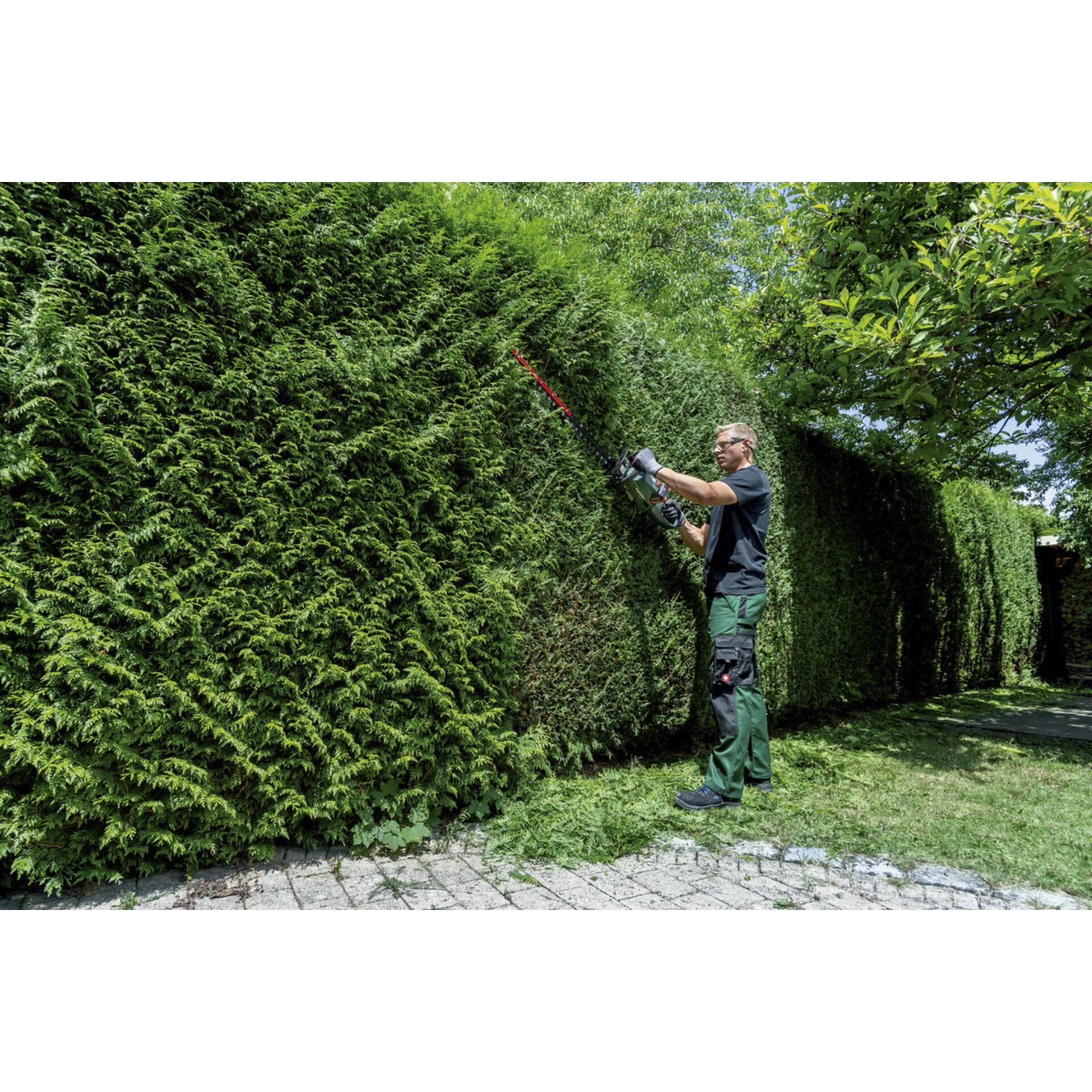 Hecke, Garten, Erwachsener, Mann, Person