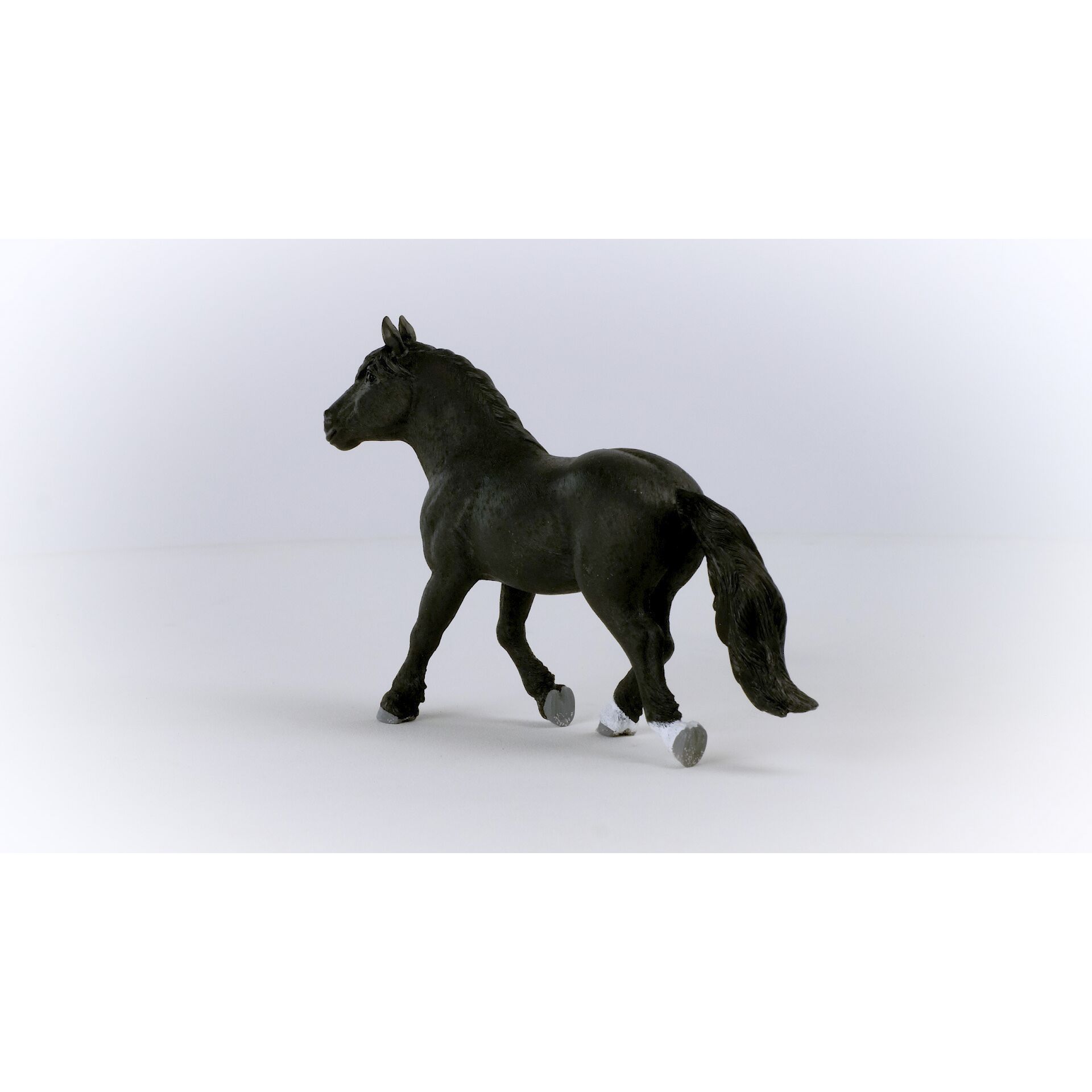 Andalusisches Pferd, Tier, Pferd, Säugetier, Colt Horse