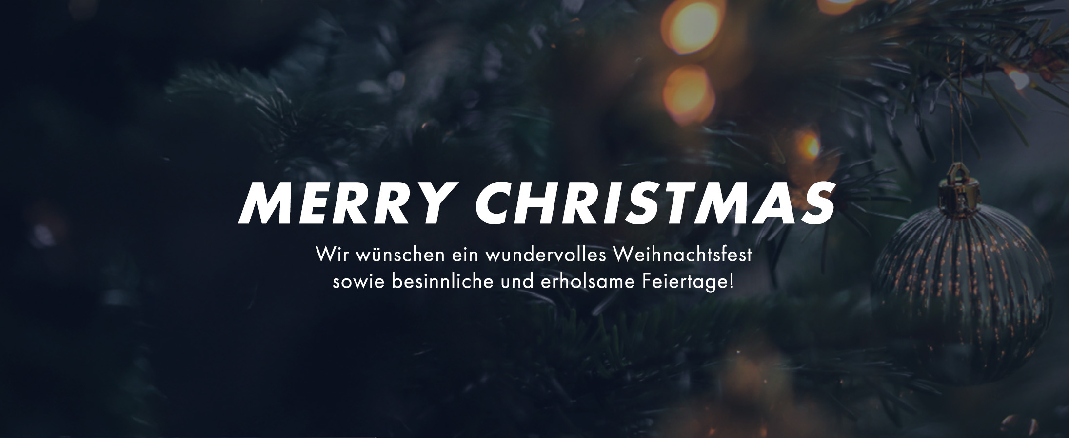 Pflanze, Baum, Weihnachten, Weihnachtsdekorationen, Festival, Pflanze, Baum, Weihnachten, Weihnachtsdekorationen, Festival, Pflanze, Baum, Weihnachten, Weihnachtsdekorationen, Festival