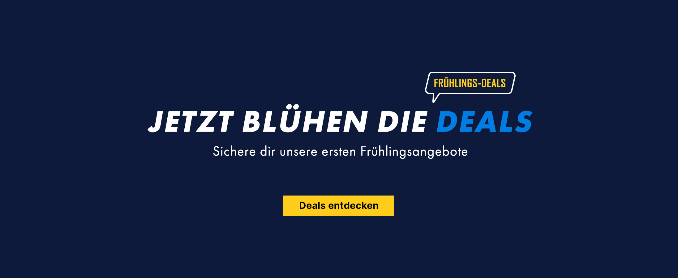 promo-banner, frühlings-angebote, deals, online-banner, blue-background