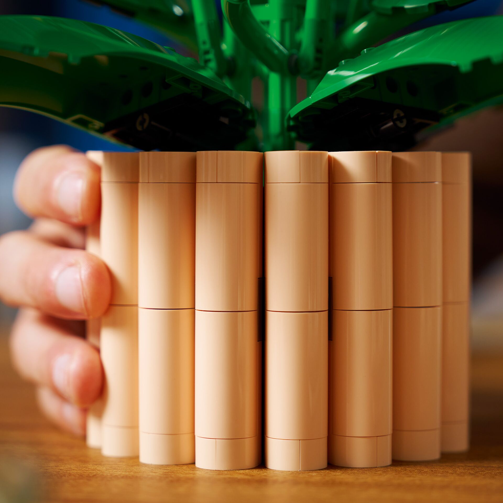 Pflanze, Pflanze im Topf, Kosmetik, Lippenstift