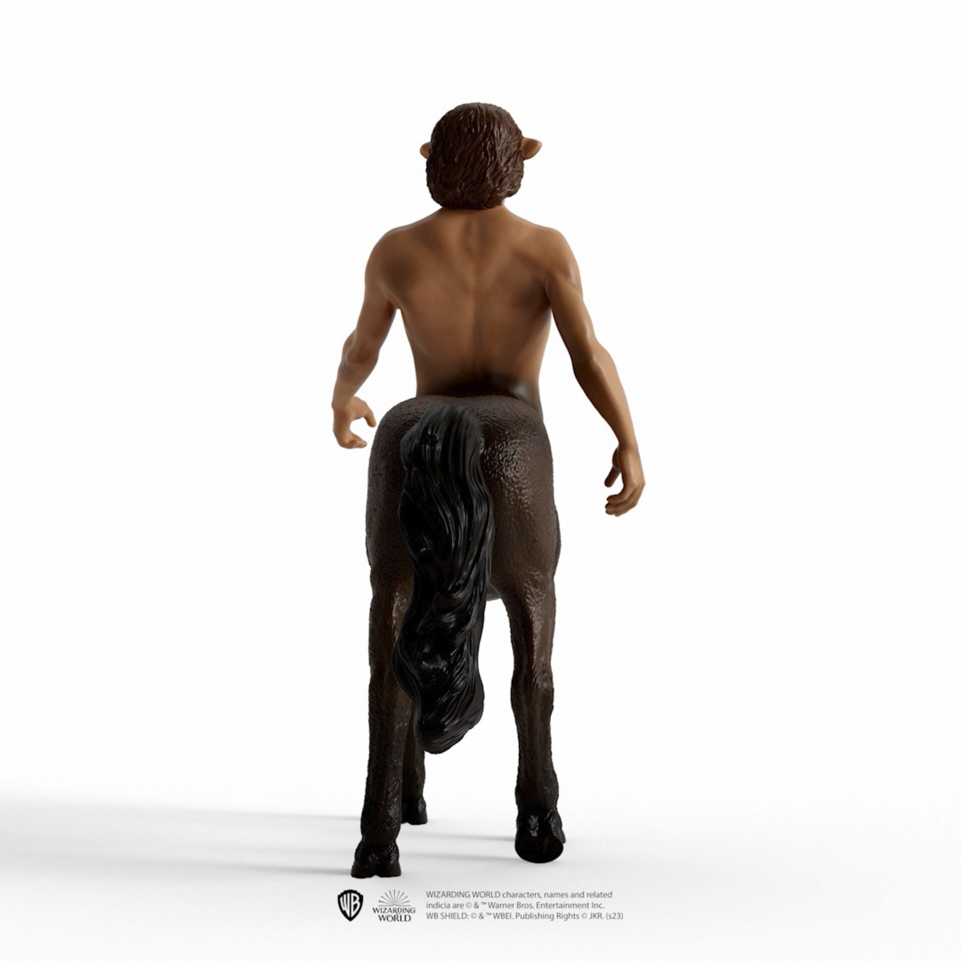 Zurück, Person, Erwachsener, Männlich, Mann