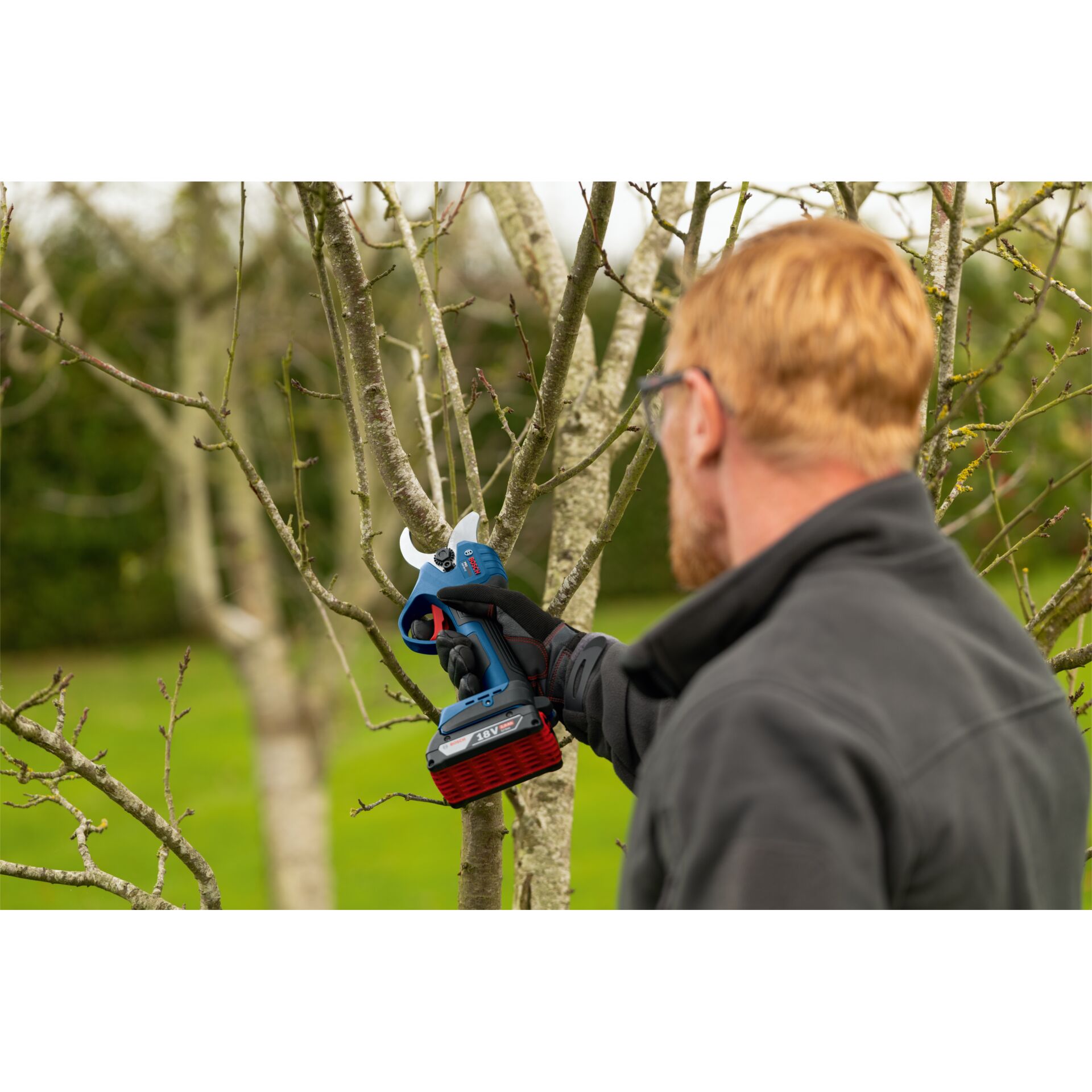 Kettensäge, Akkusäge, Gartenwerkzeug, Baumschnitt, Schwarzrot-blaues Gerät