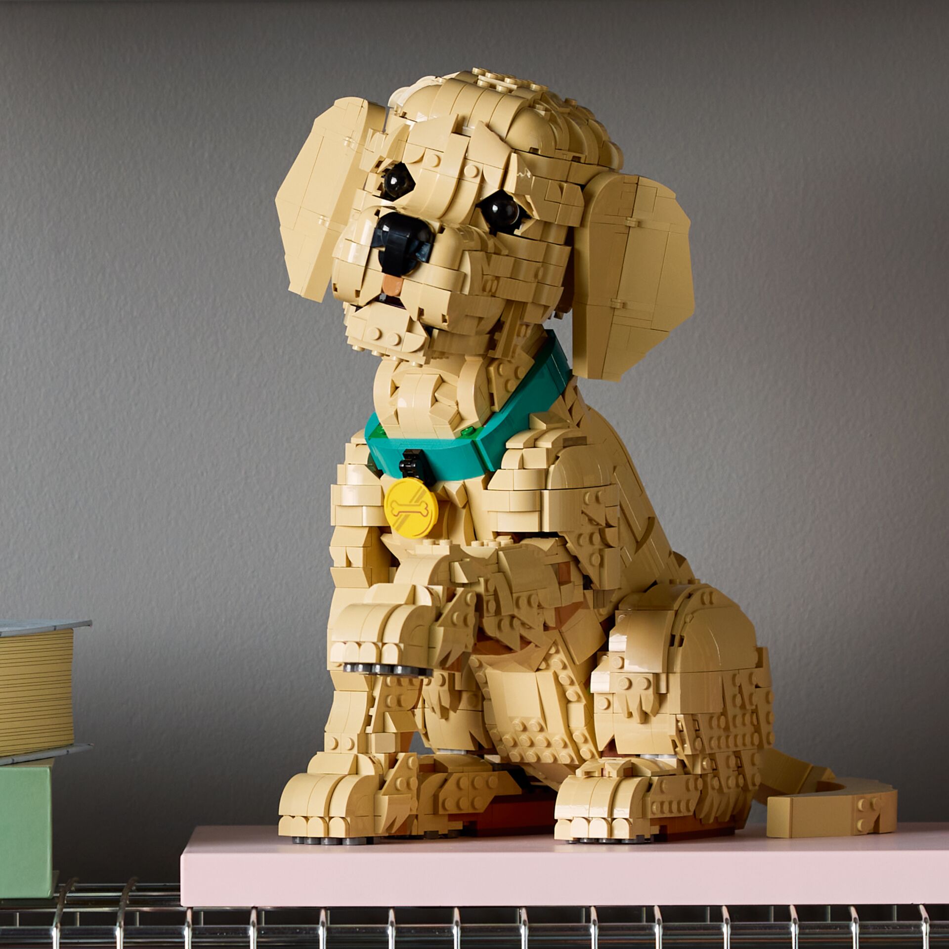 Lego Hund, Kunststoffbau, Beige Hund, Collage-Kunst, Spielzeugfigur