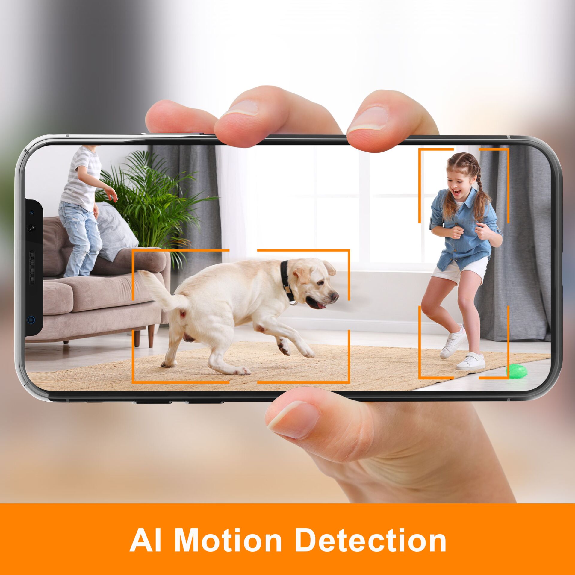 Photographie, Hund, Junge, Kind, Person