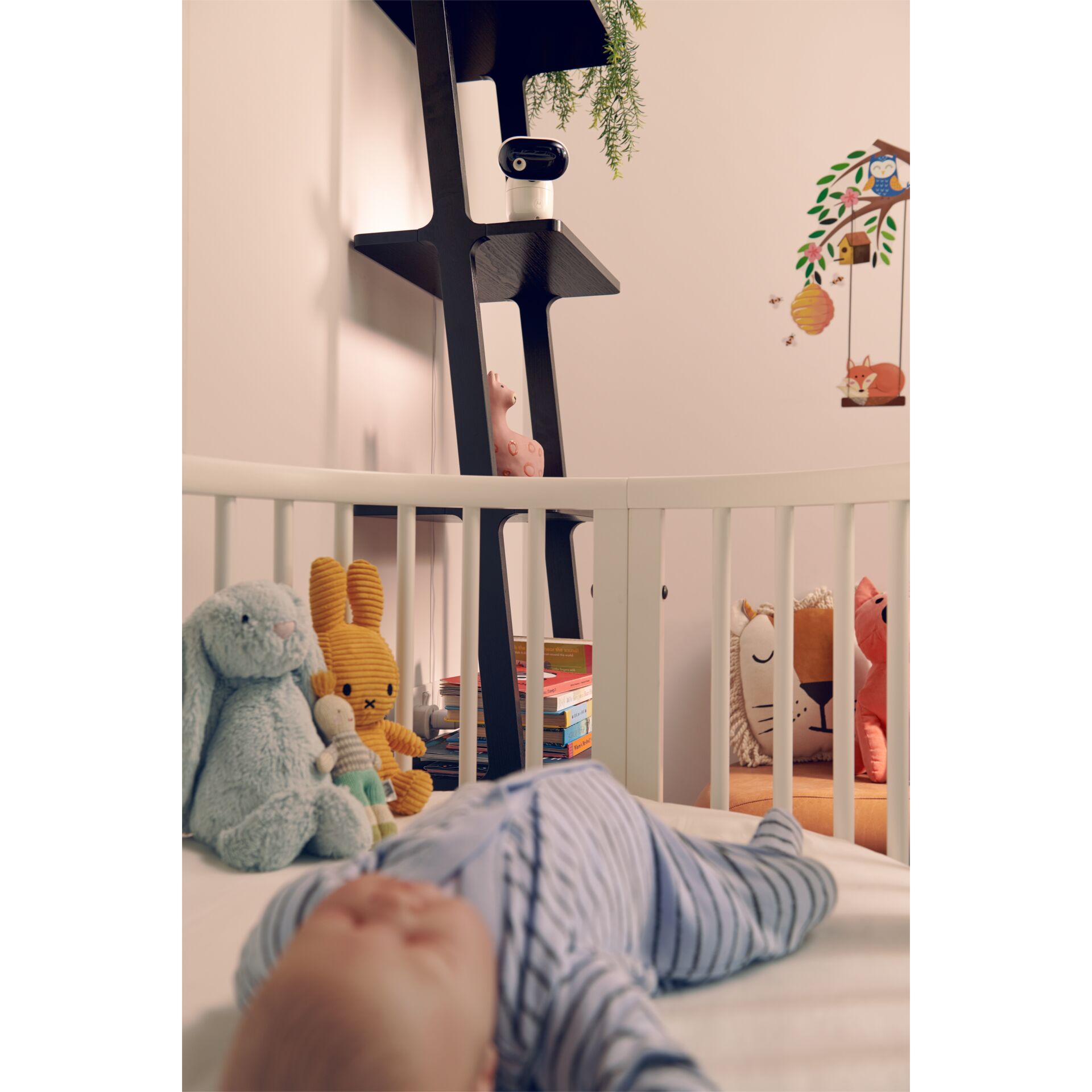 Krippe, Mobiliar, Bett für Säuglinge, Person, Drinnen