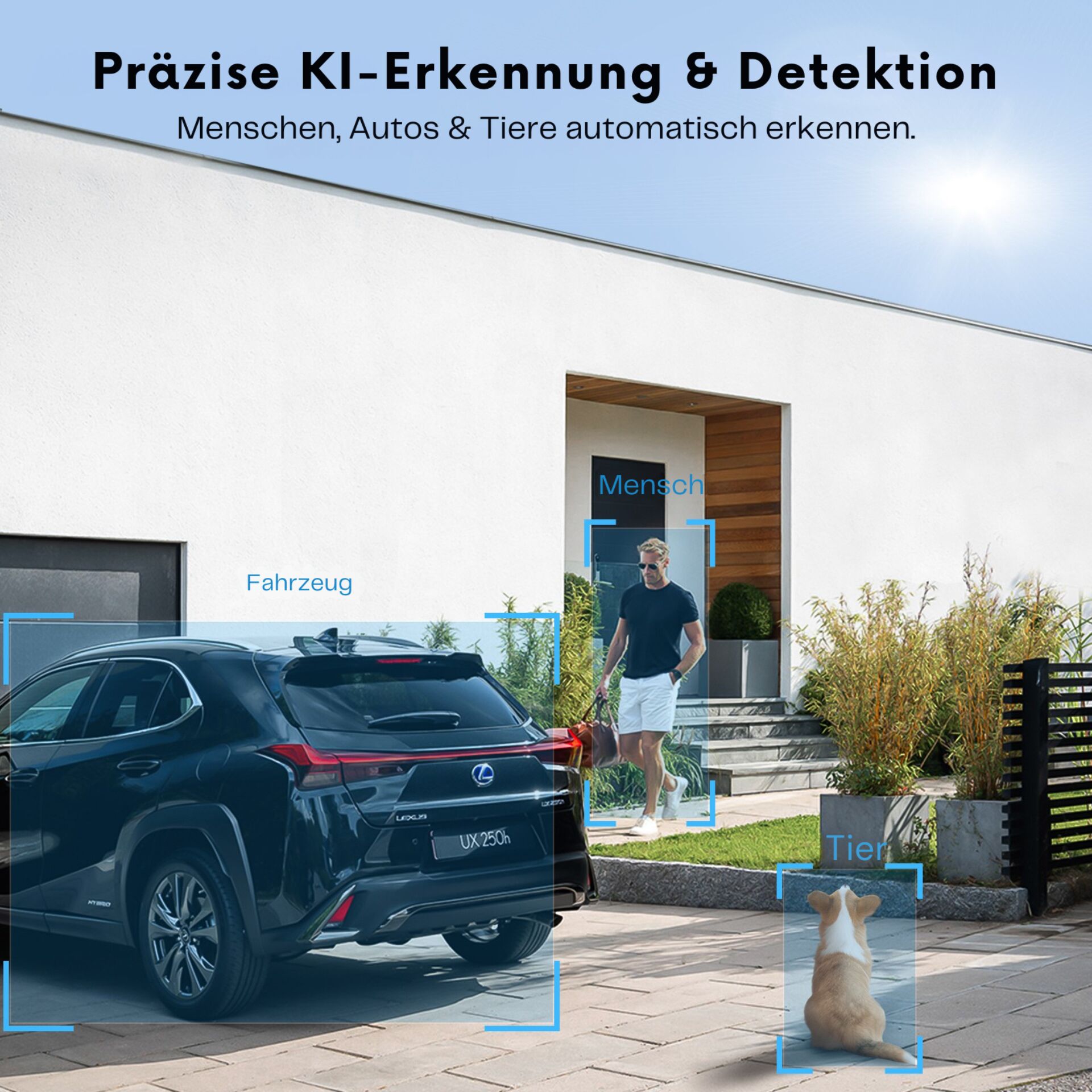 Auto, Lexus UX250h, SUV, Haustier, Mensch