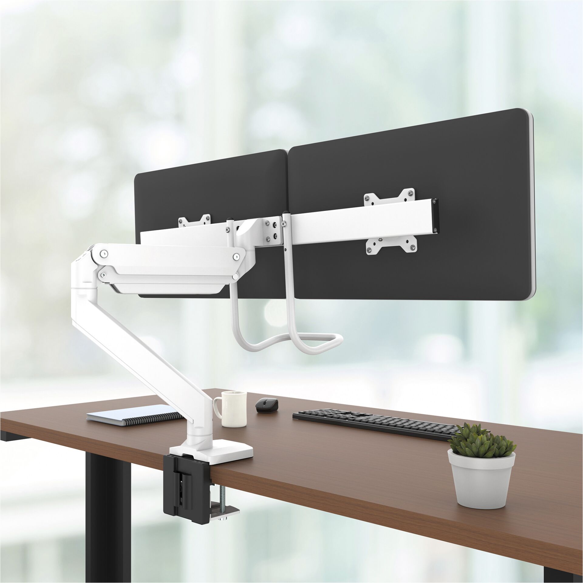 Moebel, Tabelle, Schreibtisch, Pflanze