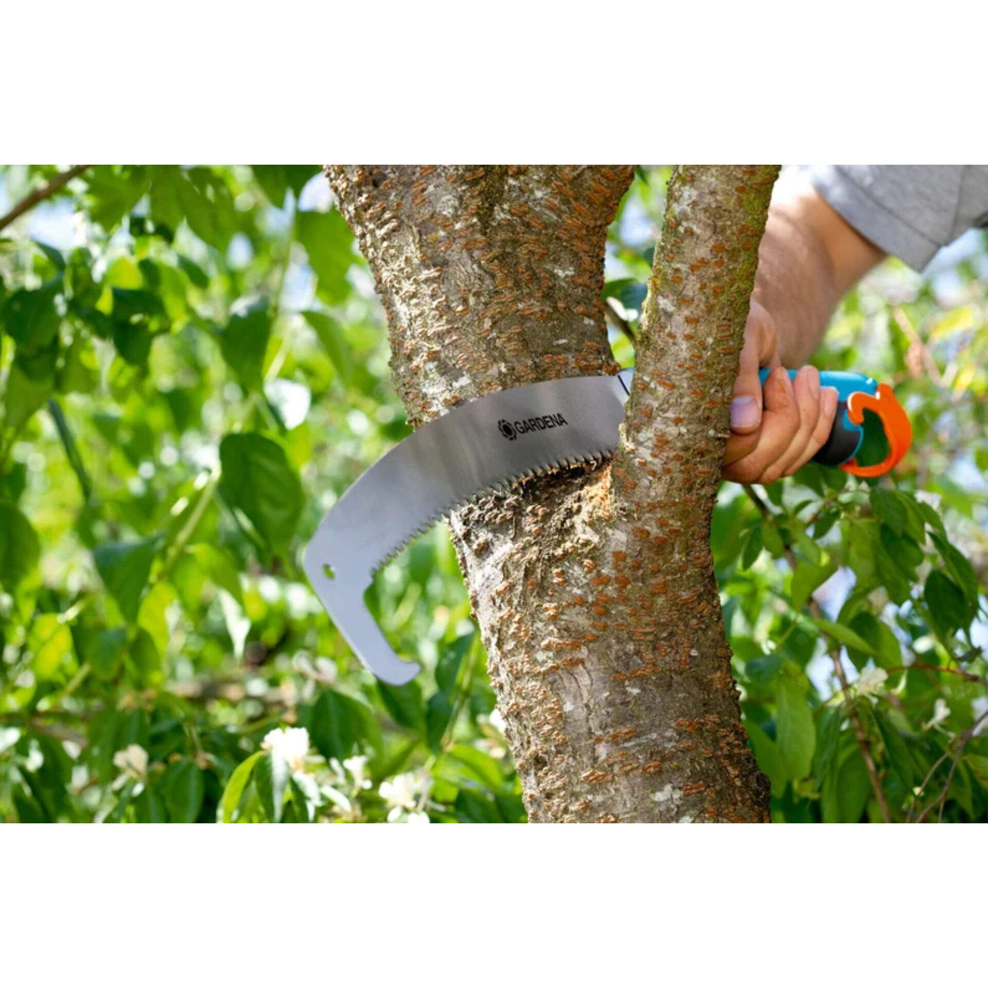 Baum, Draußen, Innenarchitektur, Baumstamm, Natur