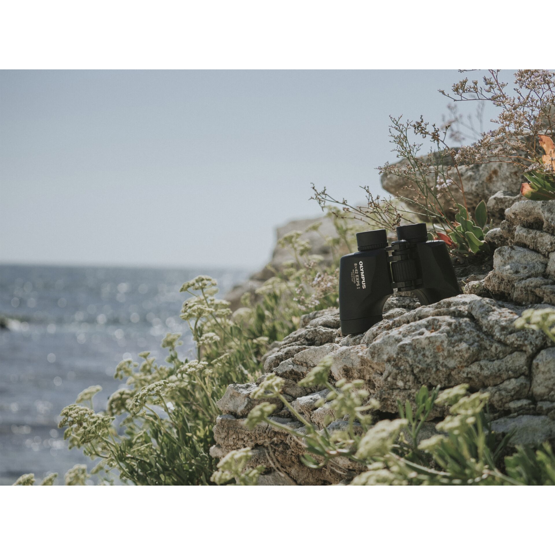 Rock, Landschaft, Szenerie, Vegetation, Meer