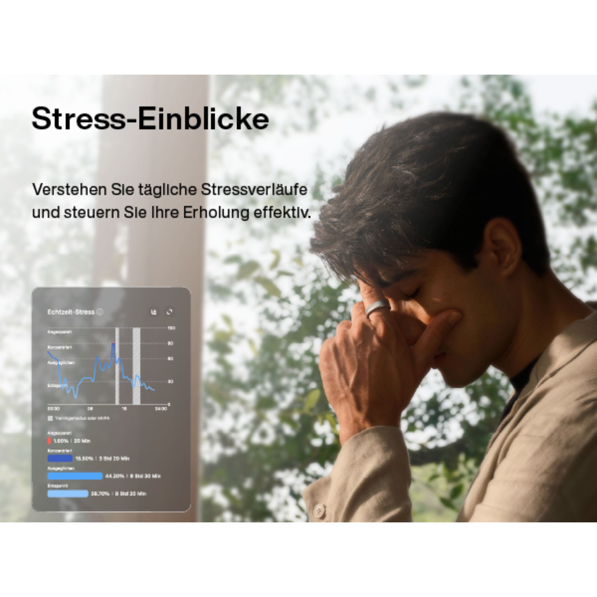 Stress-Einblicke, Stressverlauf, Kopfweh, Panel, Graph