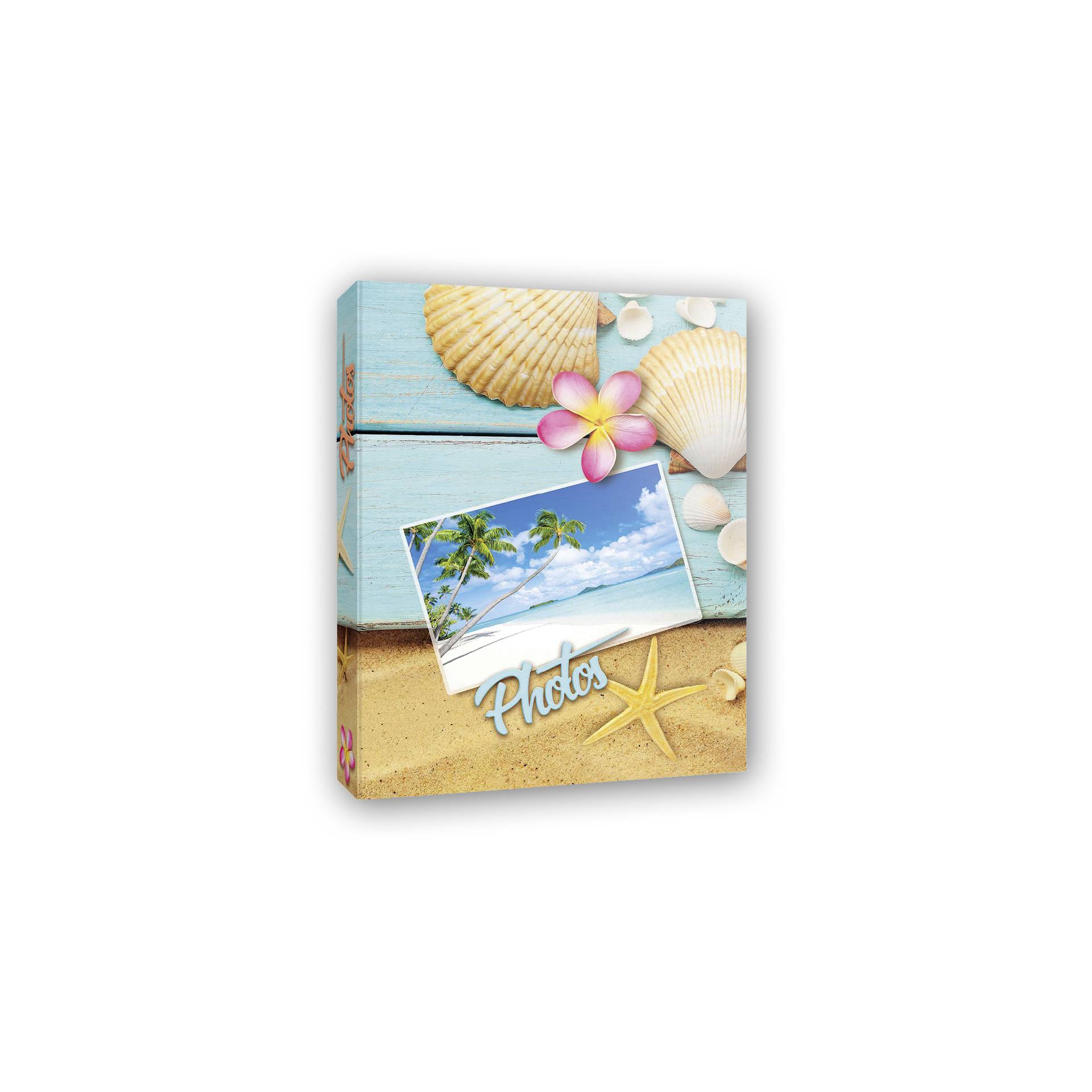 Wirbellose, Leben im Meer, Muschel, Meeresfrüchte