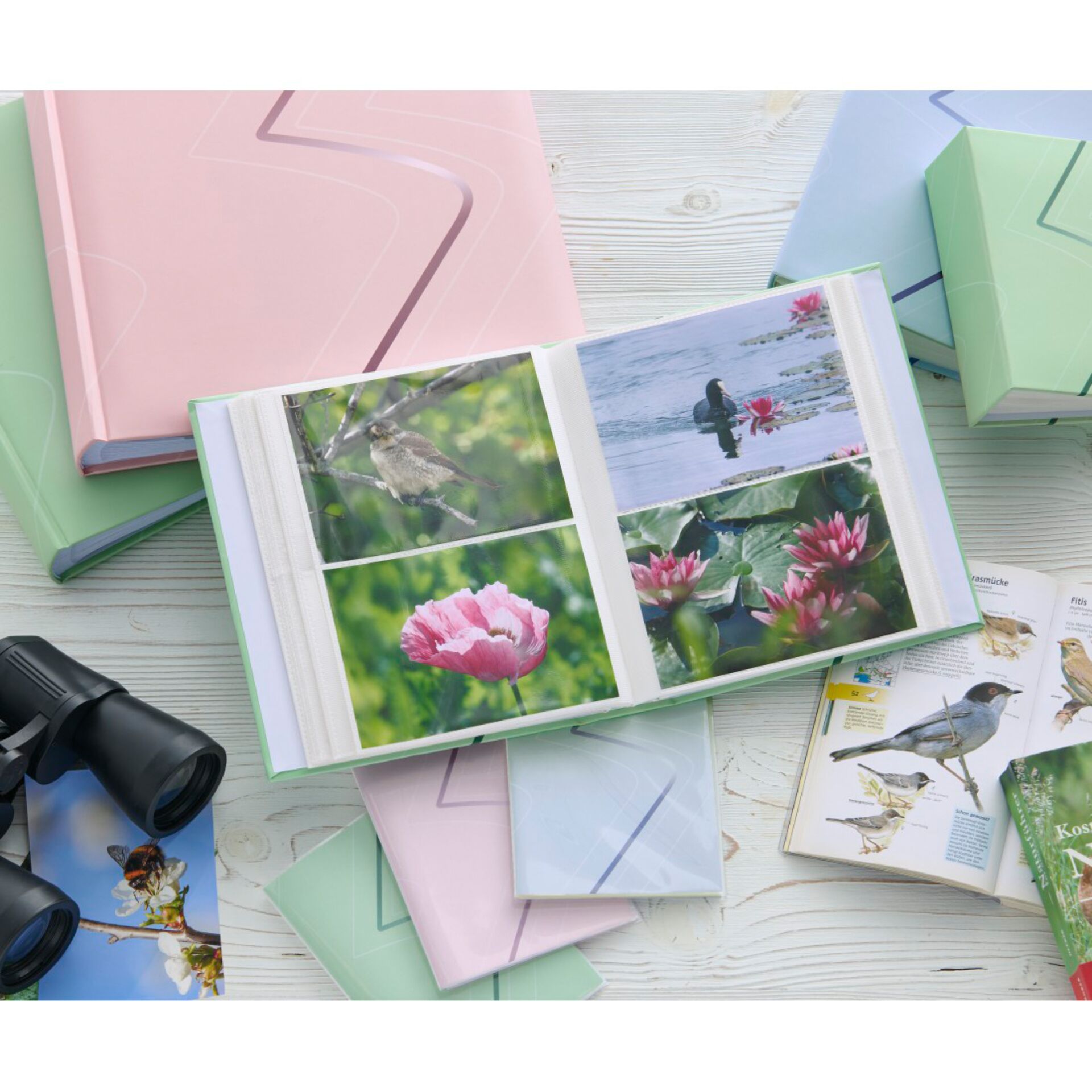 Fotoalbum, Fotoalbum-auswahl, Fotobearbeitung, Naturmotive, Fernerkundung