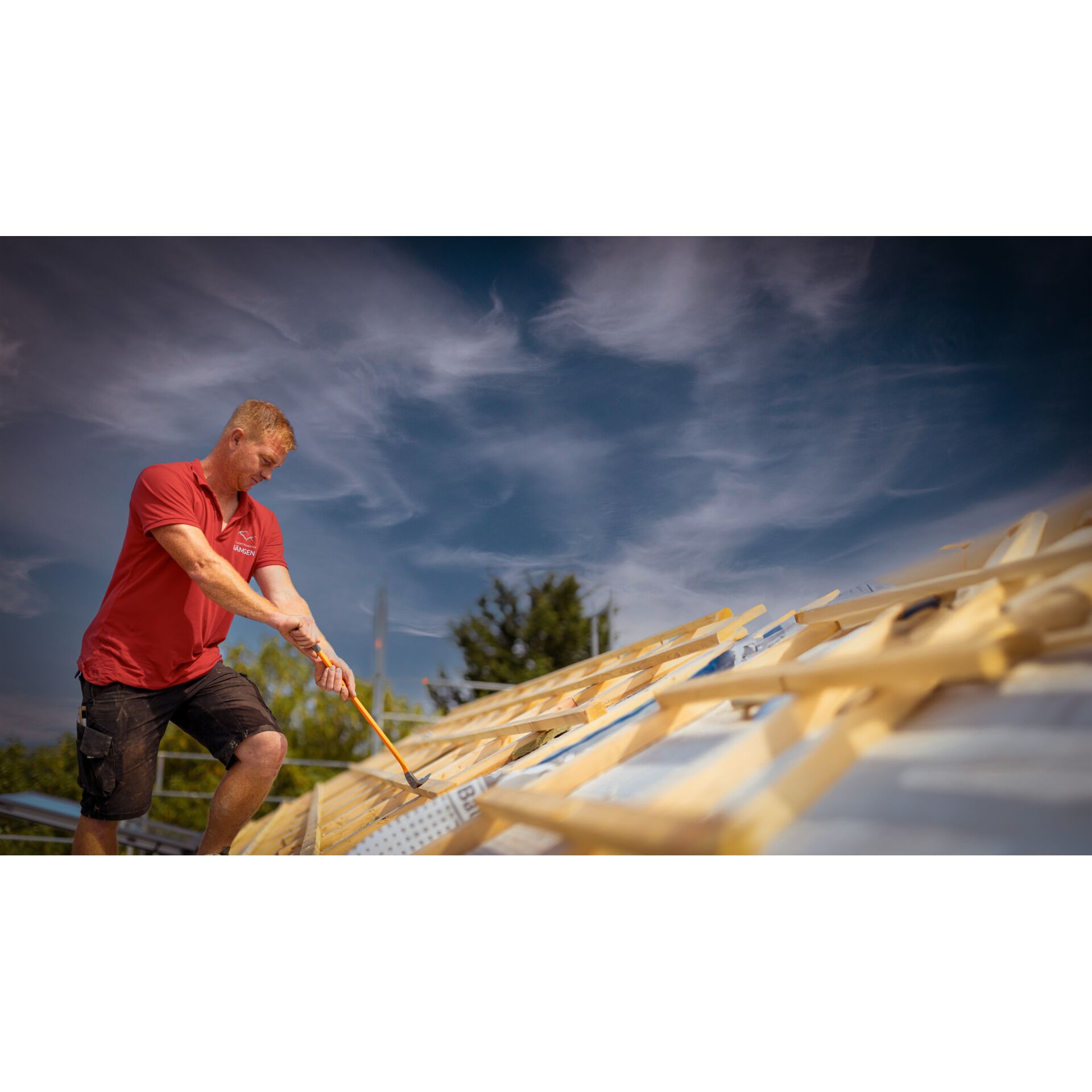 Person, Arbeiter, Holz