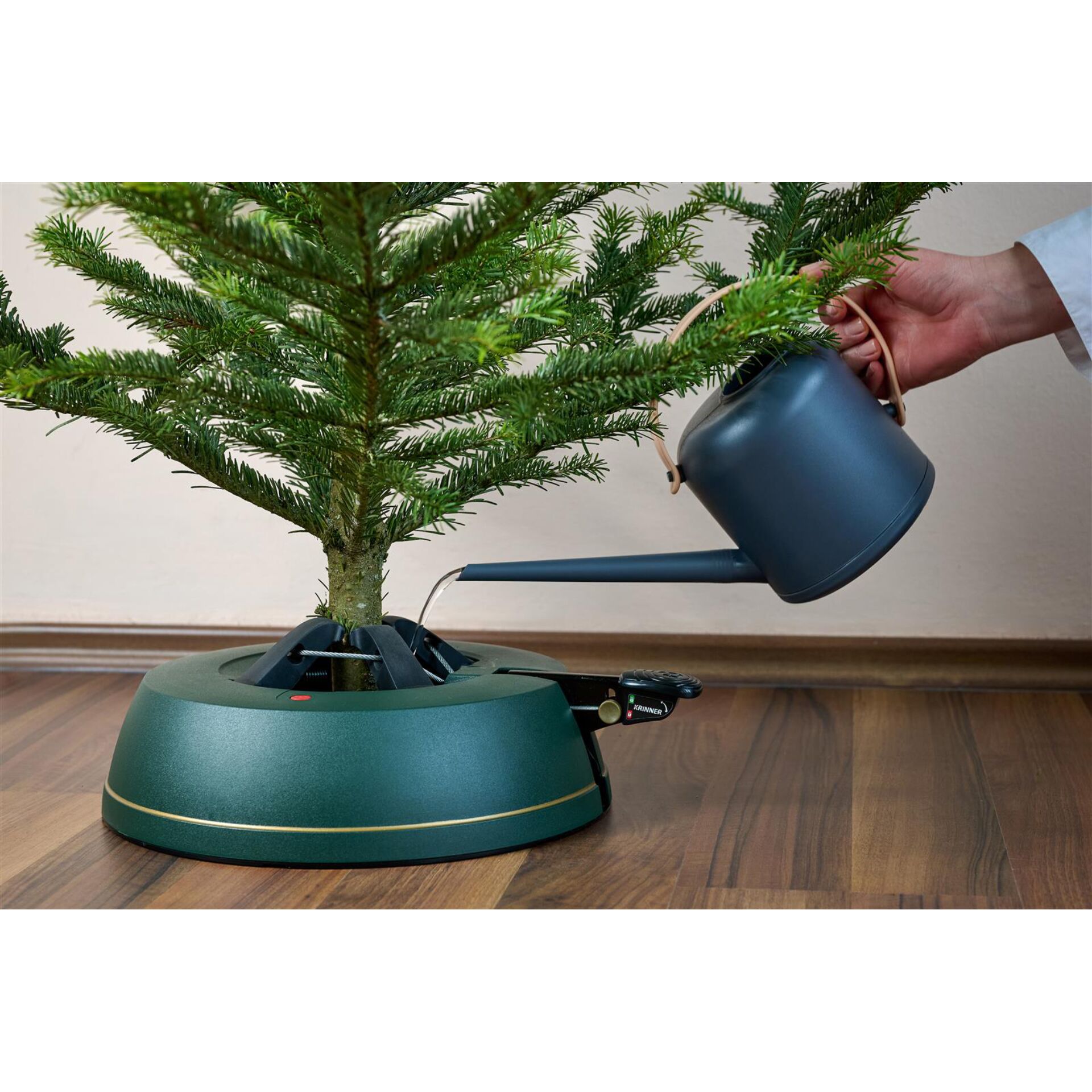 Baum, Innenarchitektur, Konifer, Zinn, Topfpflanze