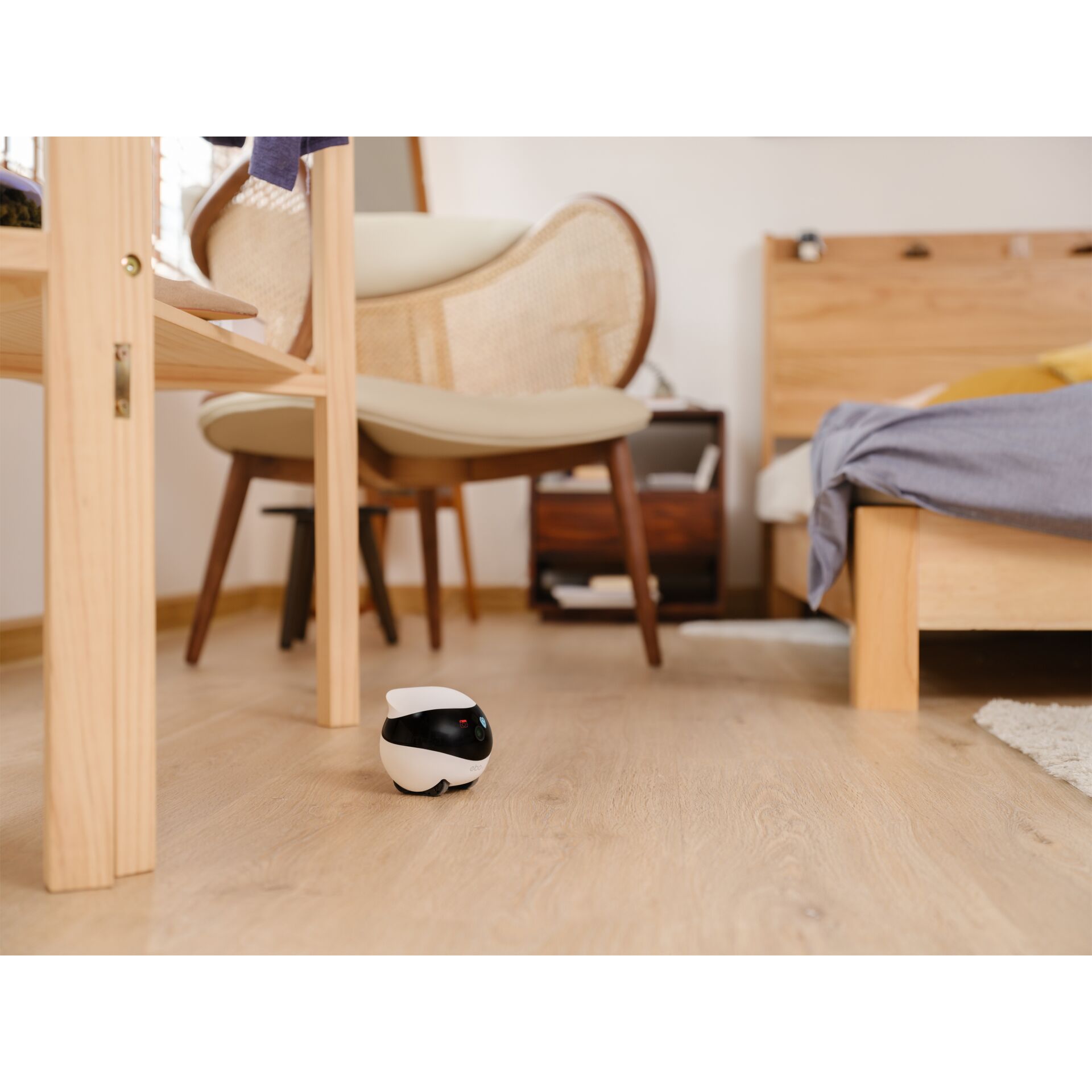 Innenarchitektur, Holz, Fußboden, Bodenbeläge, Sperrholz, Innenarchitektur, Holz, Fußboden, Bodenbeläge, Sperrholz