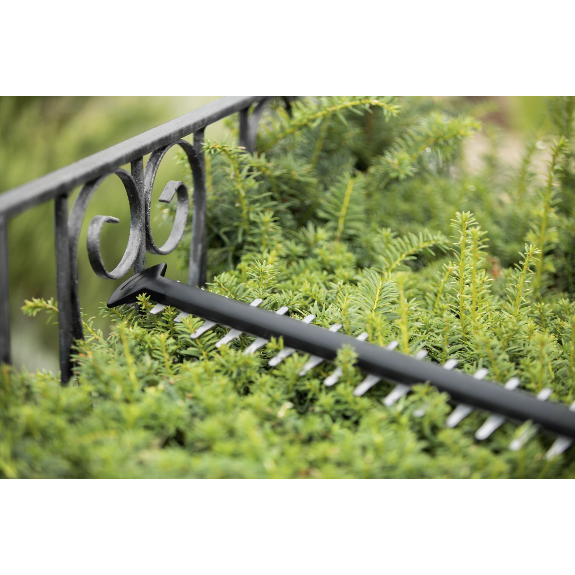 Handlauf, Vegetation, Garten, Zaun, Gras