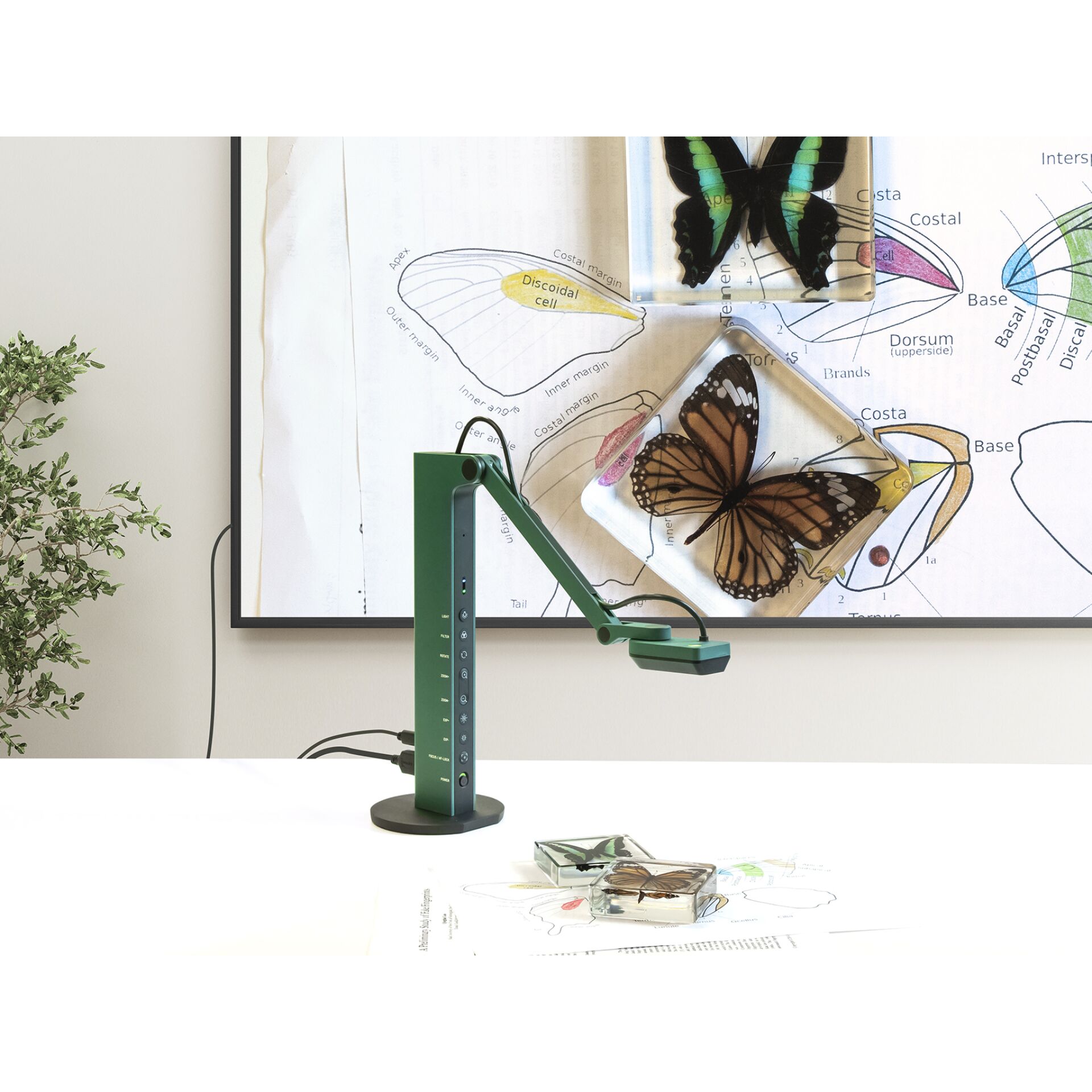 Lampe, Weißes Brett