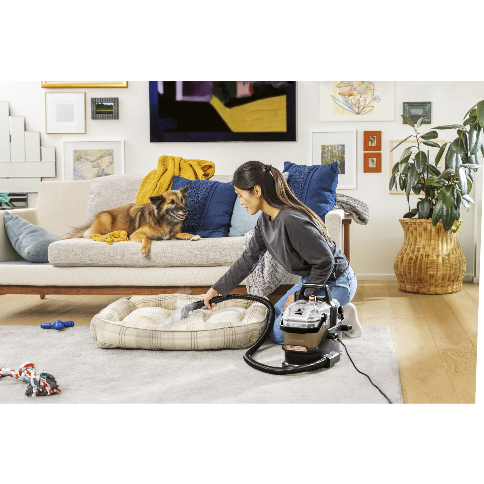 Person, Tier, Hund, Säugetier, Haustier