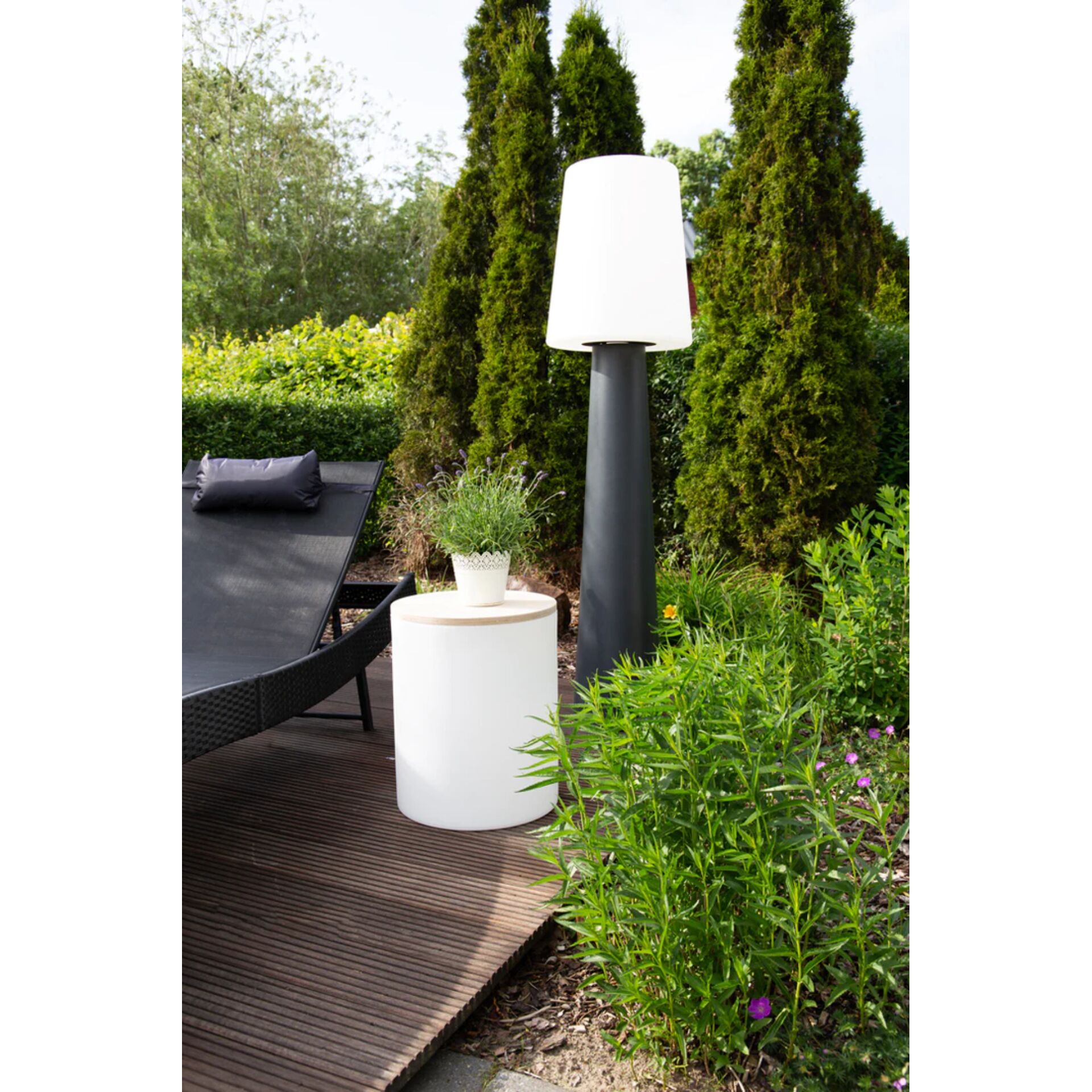 Lampe, Pflanze, Pflanze im Topf, Pflanzgefäß, Innenarchitektur