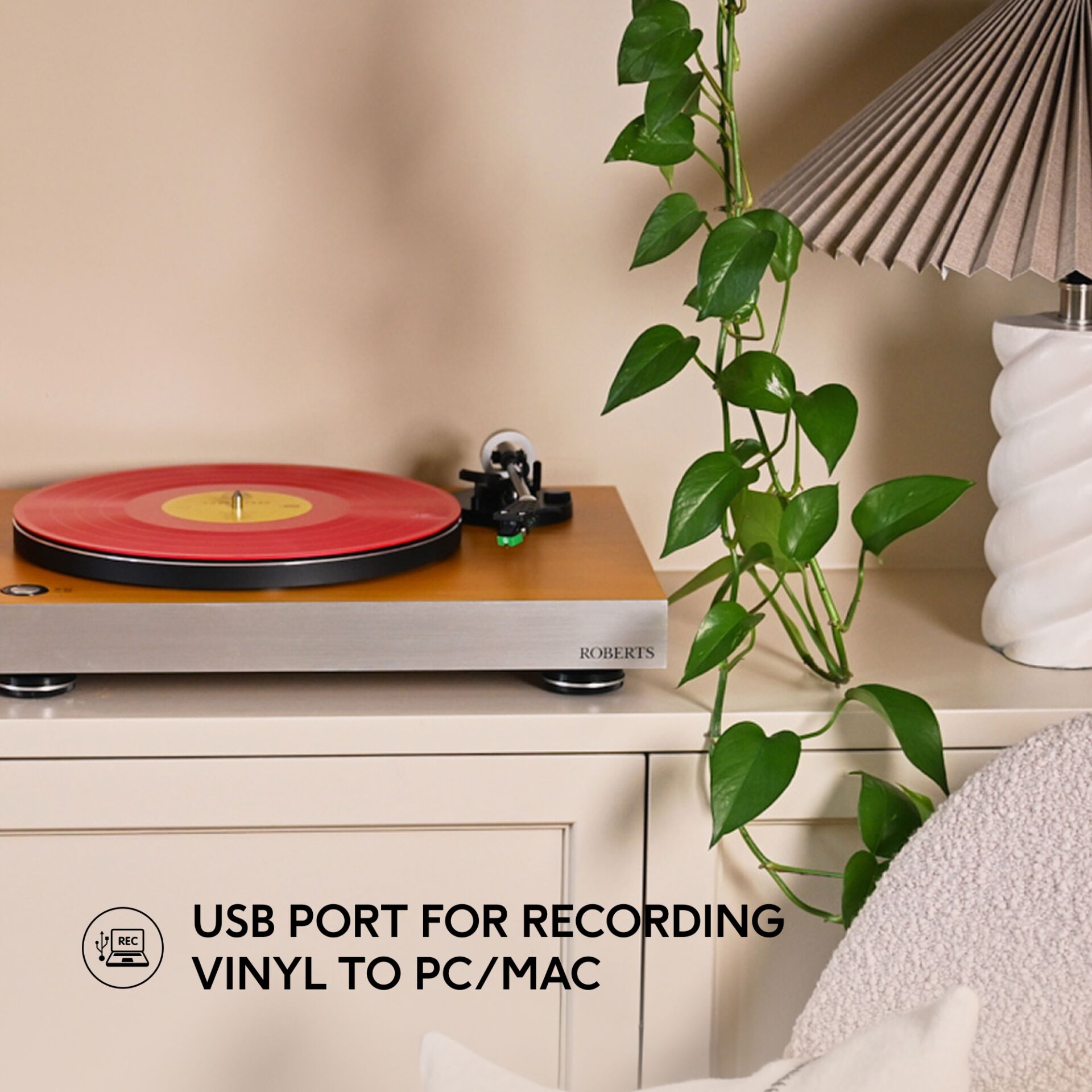 Pflanze, Pflanze im Topf, Drinnen, Innenarchitektur