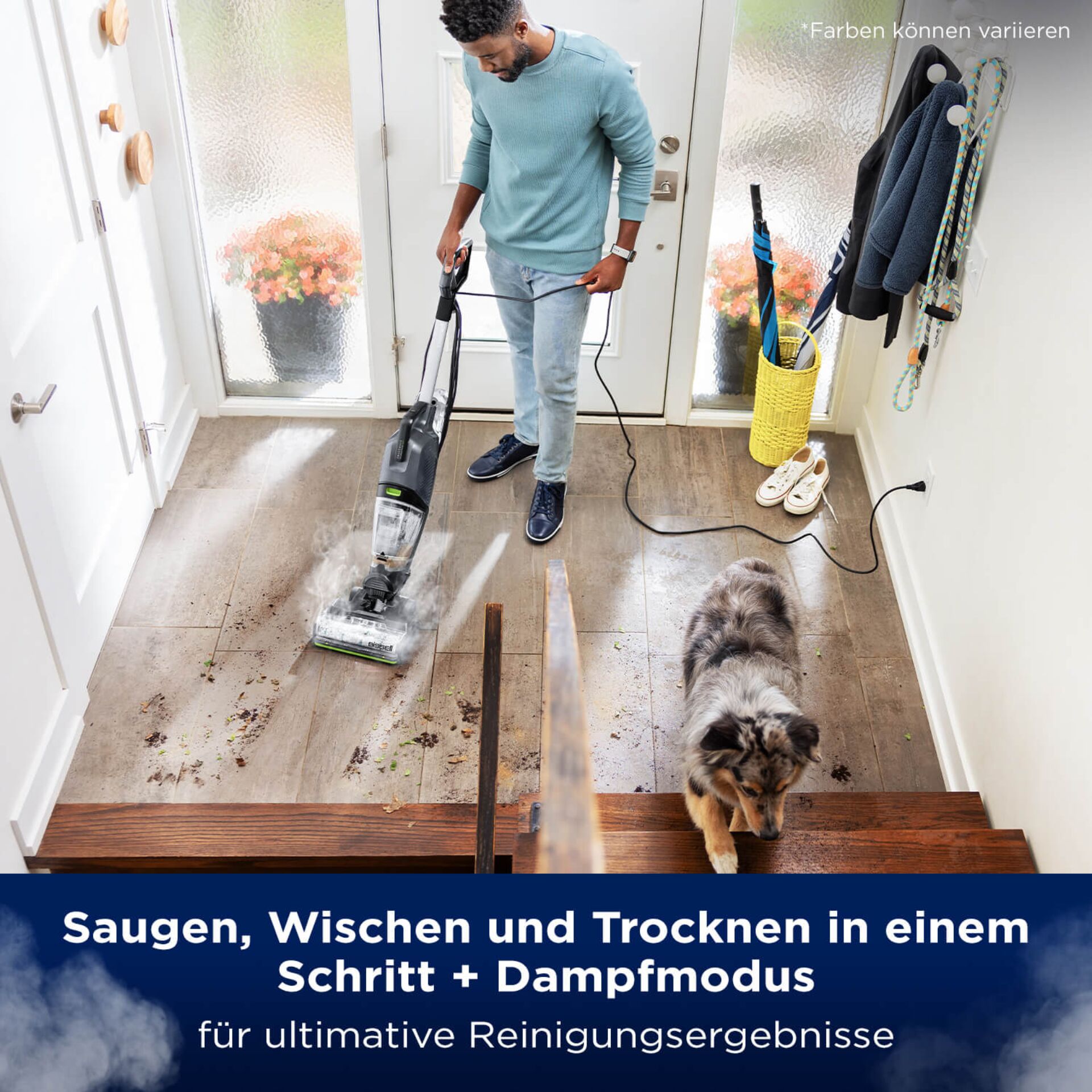 Reinigen, Fußboden, Bodenbeläge, Innenarchitektur, Hund