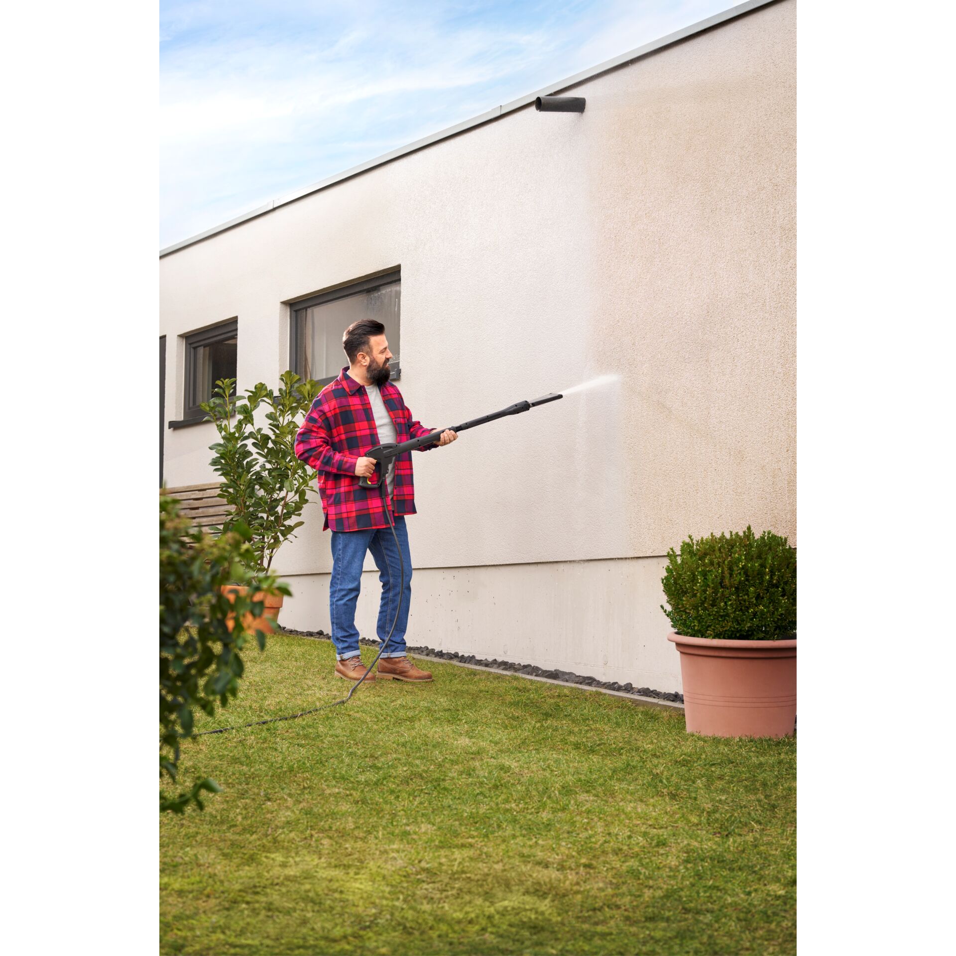 Innenarchitektur, Pflanze im Topf, Gras, Mann, Person