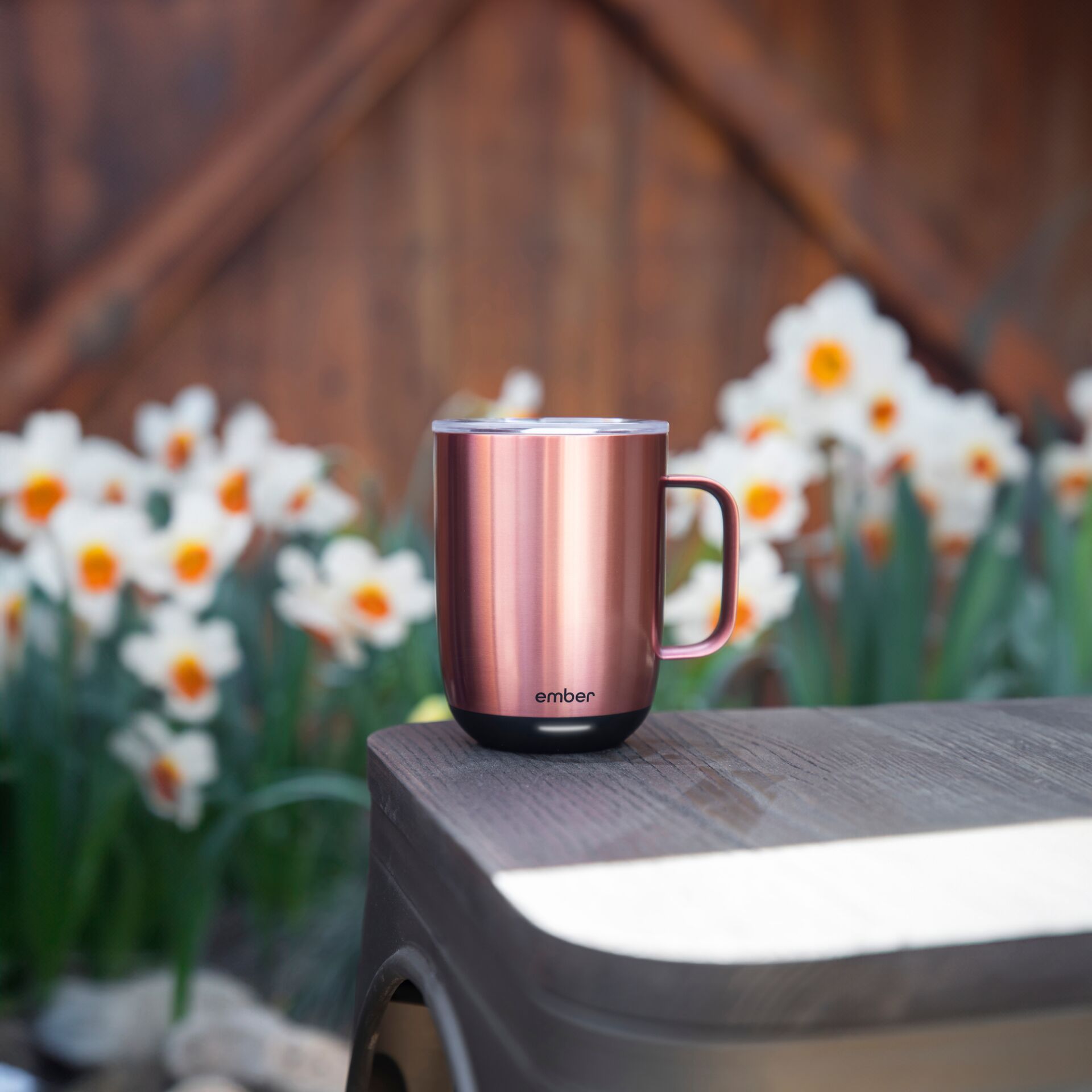 Pokal, Kochgeschirr, Kochpfanne, Topf