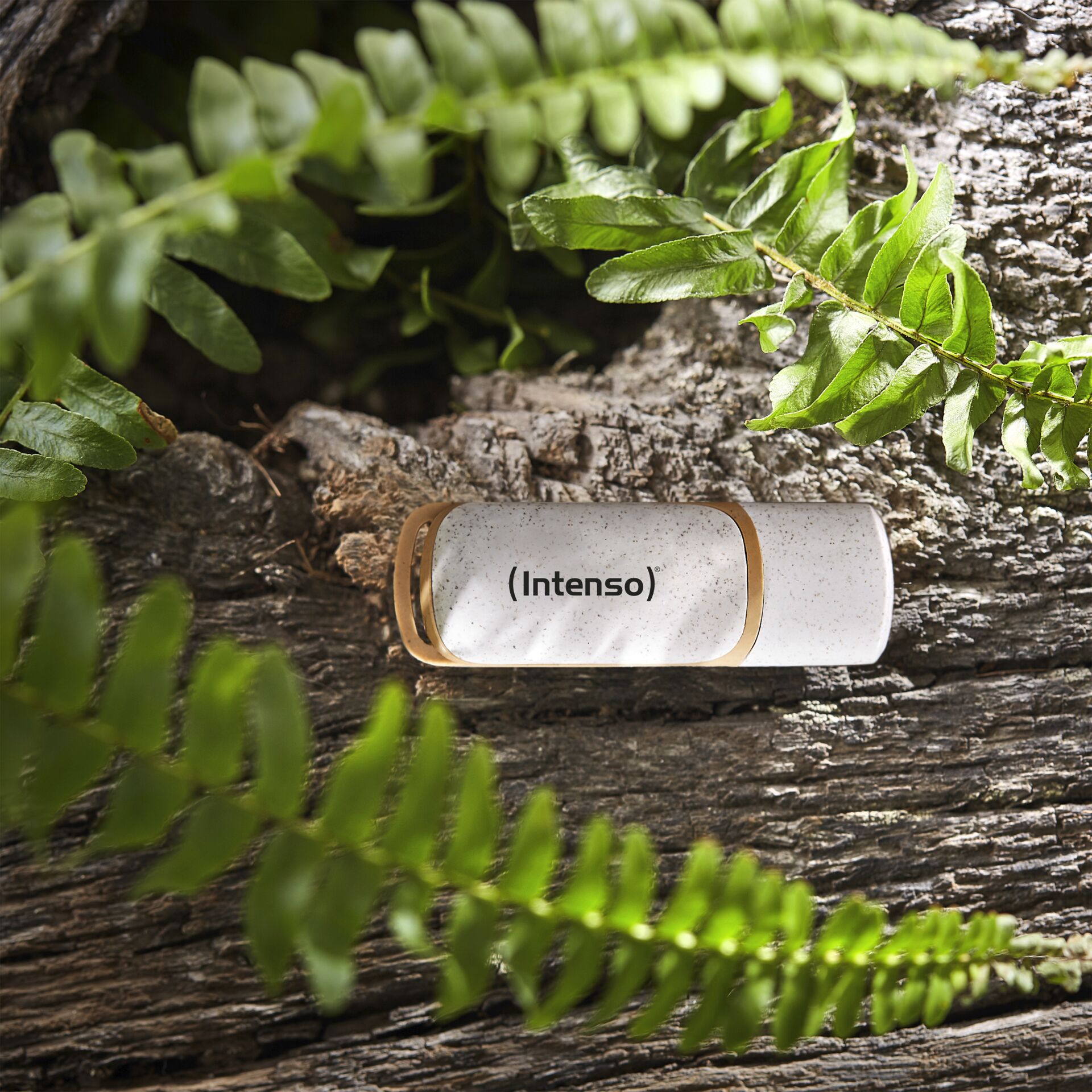 Kräuterig, Kräuter, Pflanze, Blatt