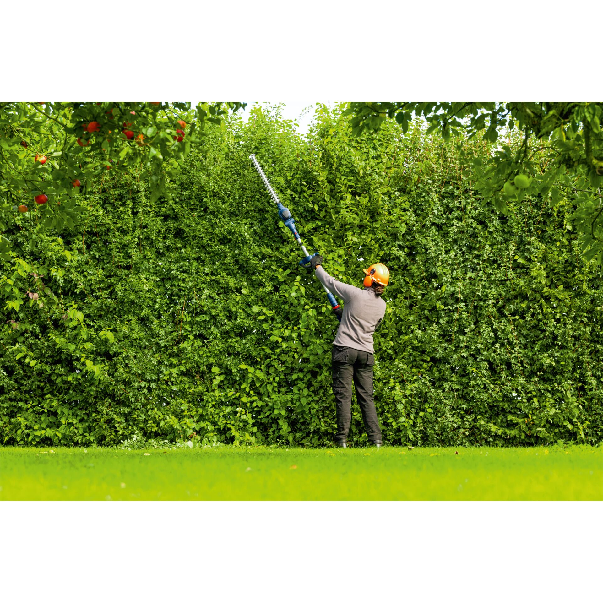 Hecke, Garten, Baumschere, Heckenschneider, Orangene Schutzausrüstung