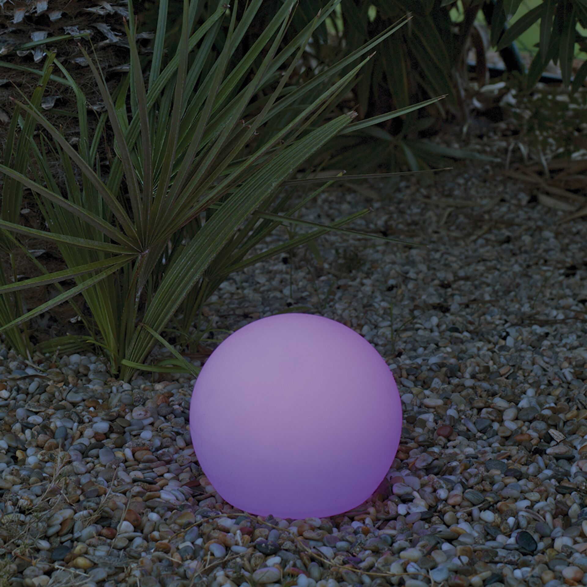 Sphäre, Ballon, Violett, Pflanze