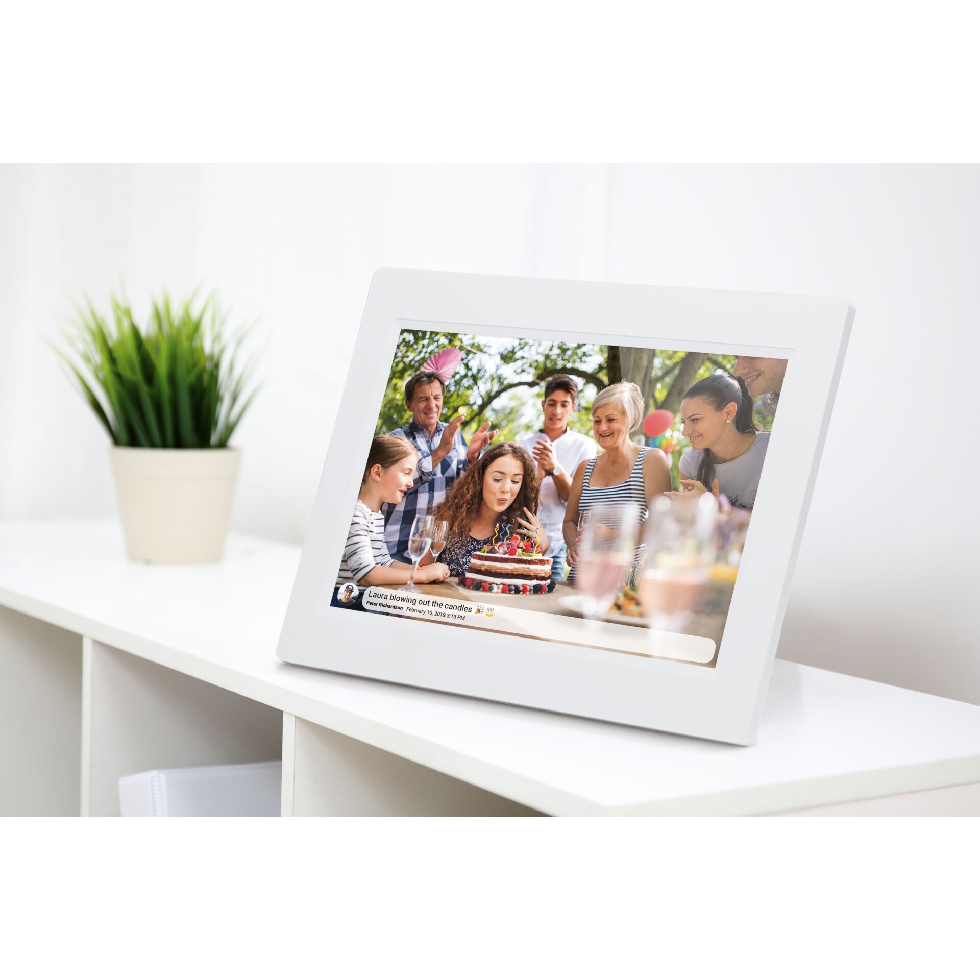 Person, Fotorahmen, Pflanze