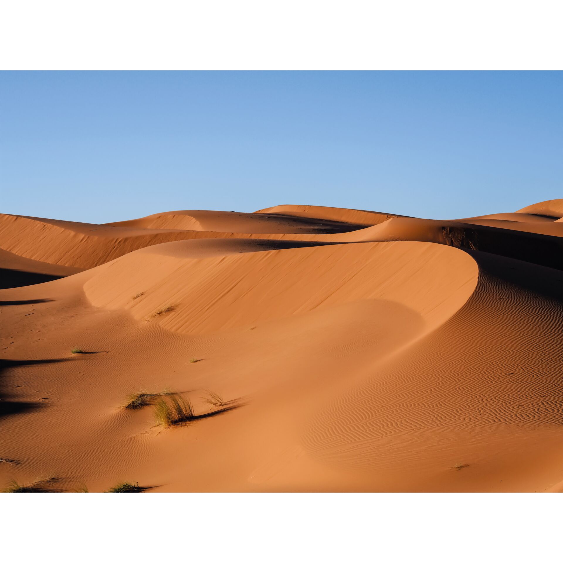 Natur, Draußen, Wüste