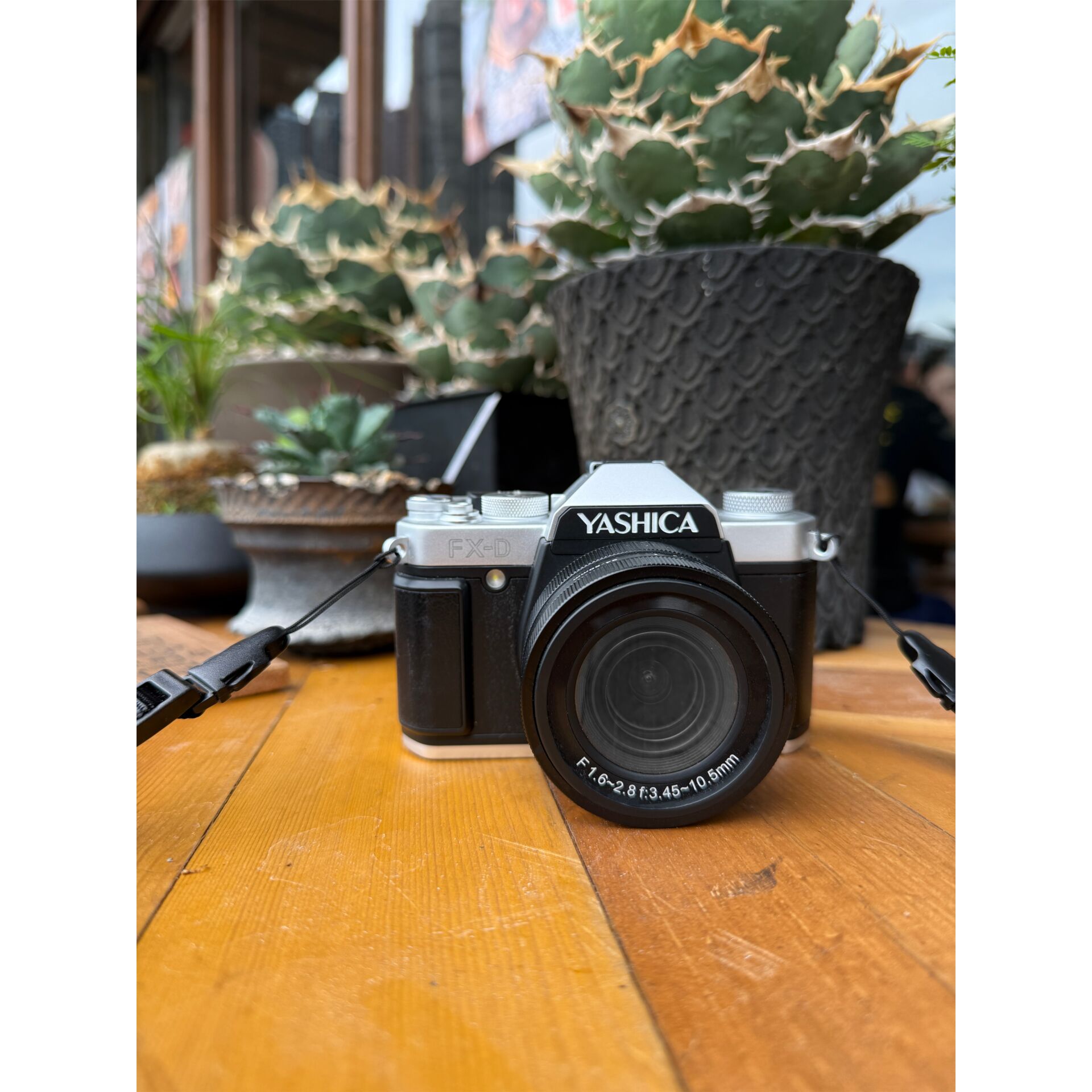 Photographie, Riemen, Kamera, Holz, Pflanze, Photographie, Riemen, Kamera, Holz, Pflanze