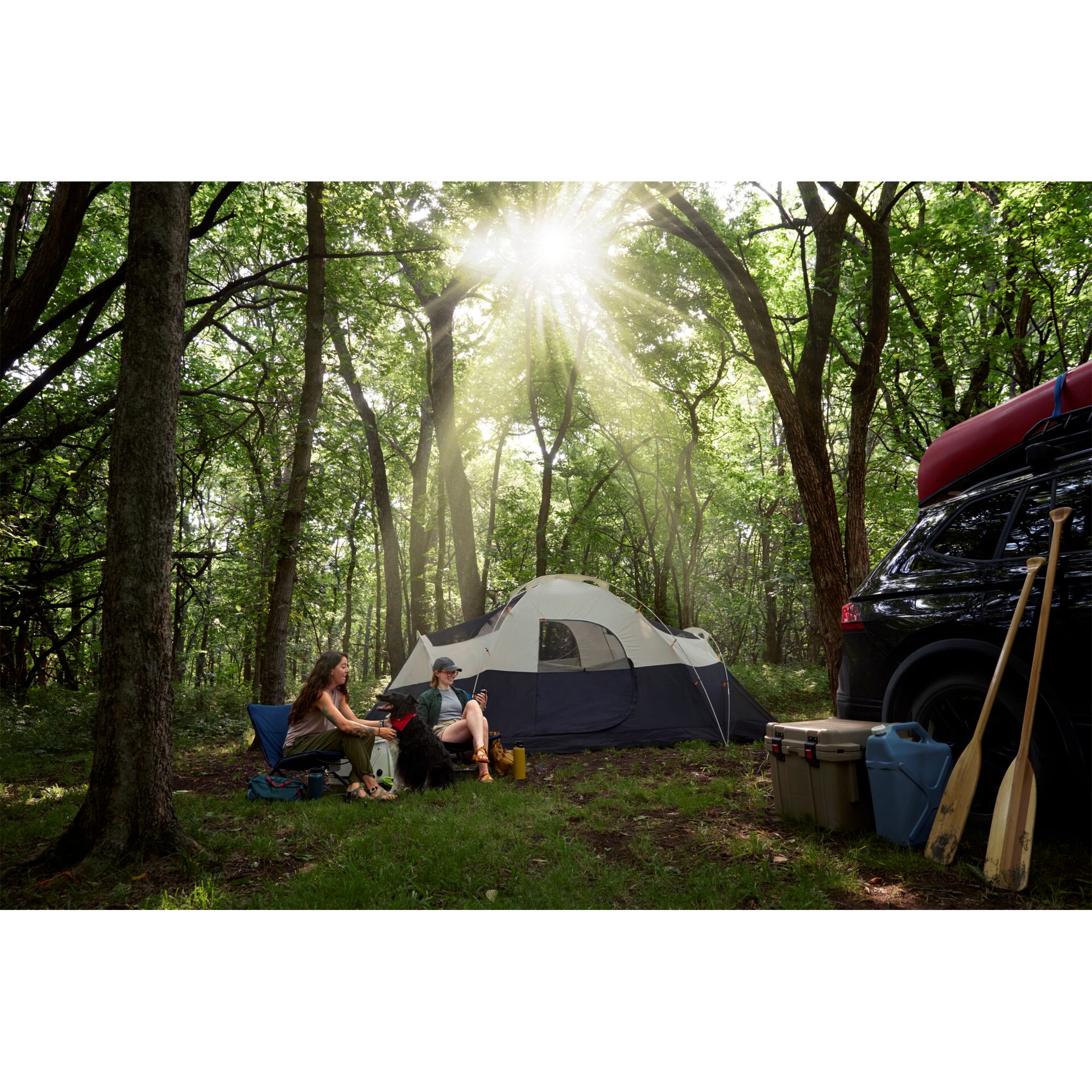 Draußen, Unterschlupf, Zelt, Campen, Bewuchs