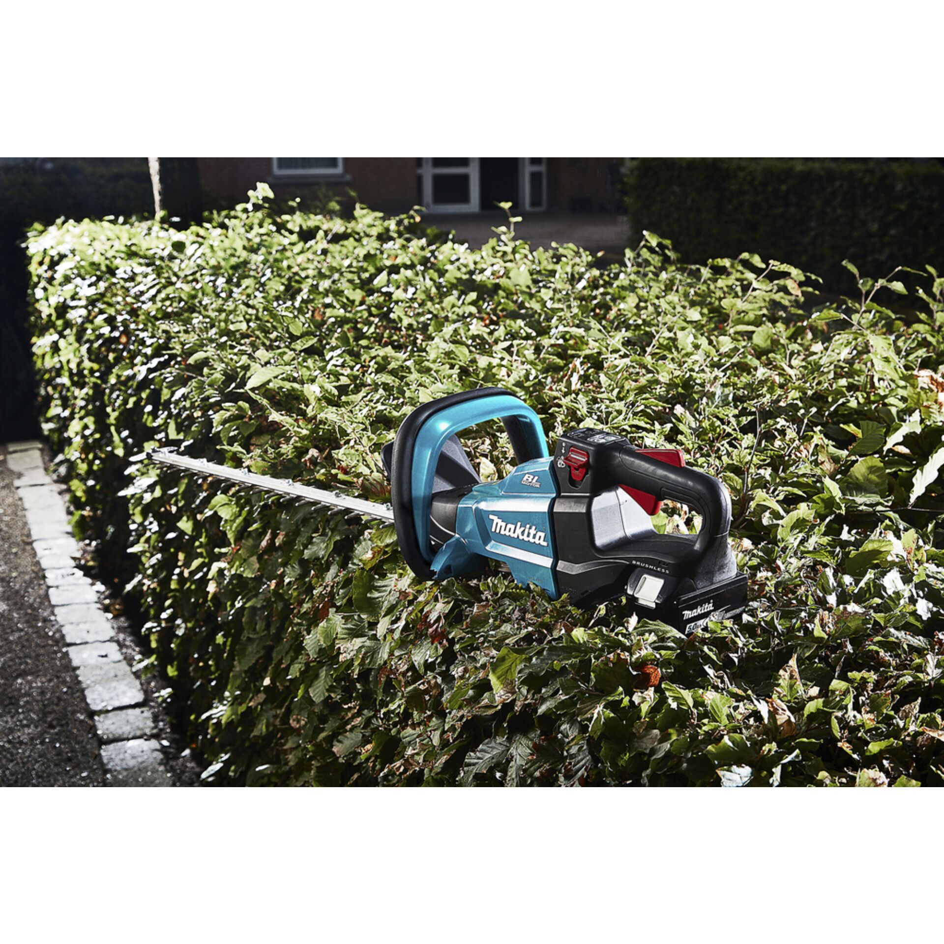 Zaun, Hecke, Pflanze, Gerät, Rasenmäher