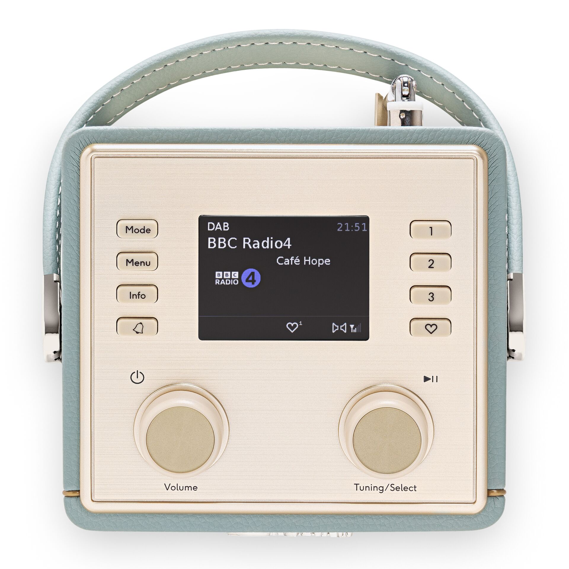 DAB-Radio, Tragbares Radio, Digitaldisplay, Lederoptik, Salbeigrün