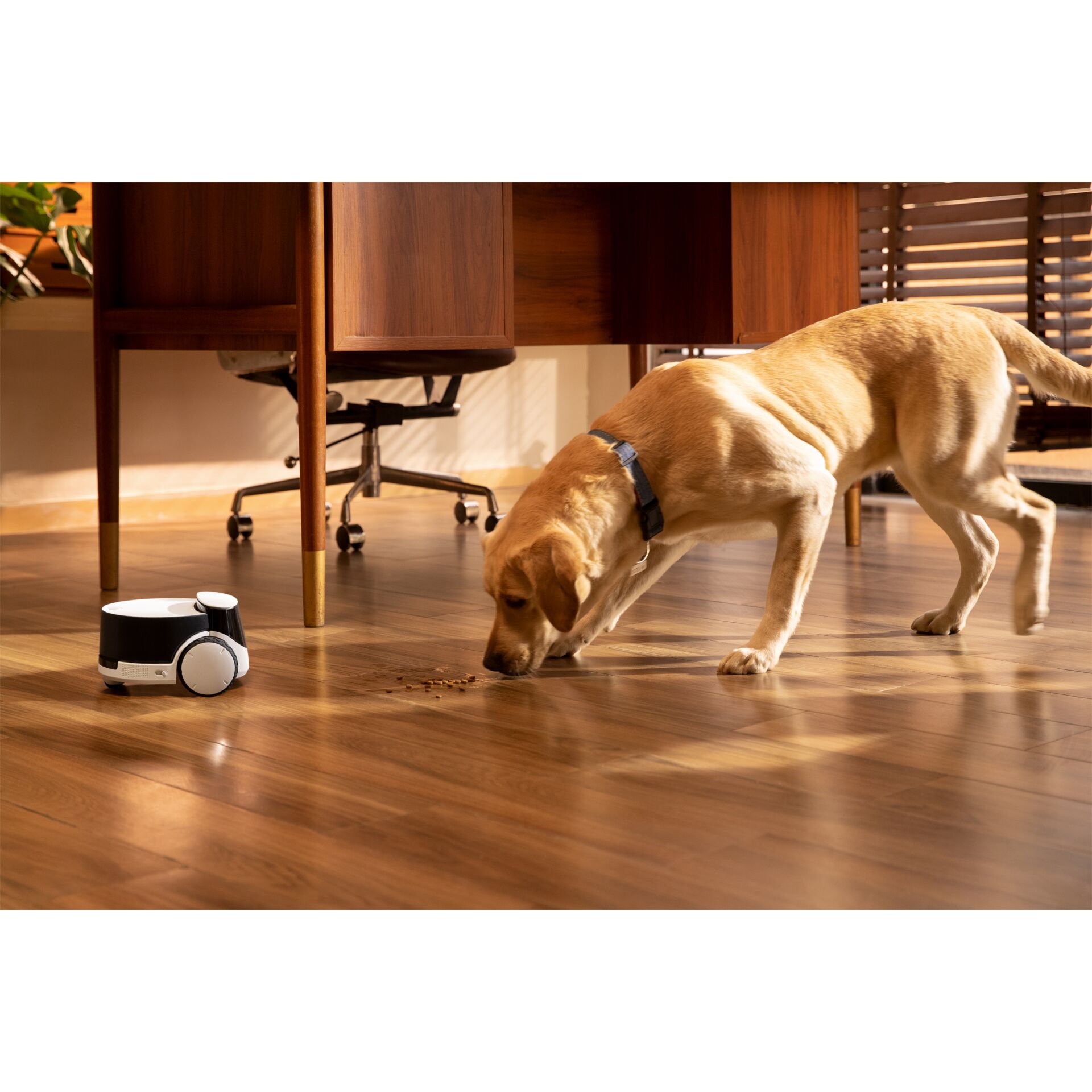 Holz, Fußboden, Bodenbeläge, Hartholz, Innenarchitektur, Holz, Fußboden, Bodenbeläge, Hartholz, Innenarchitektur